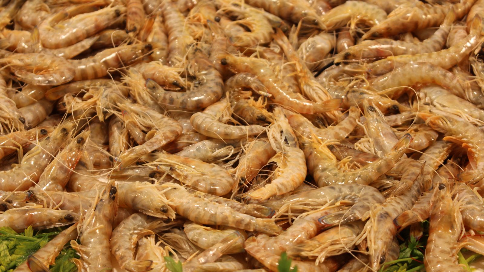 Gastronomía de Cádiz.