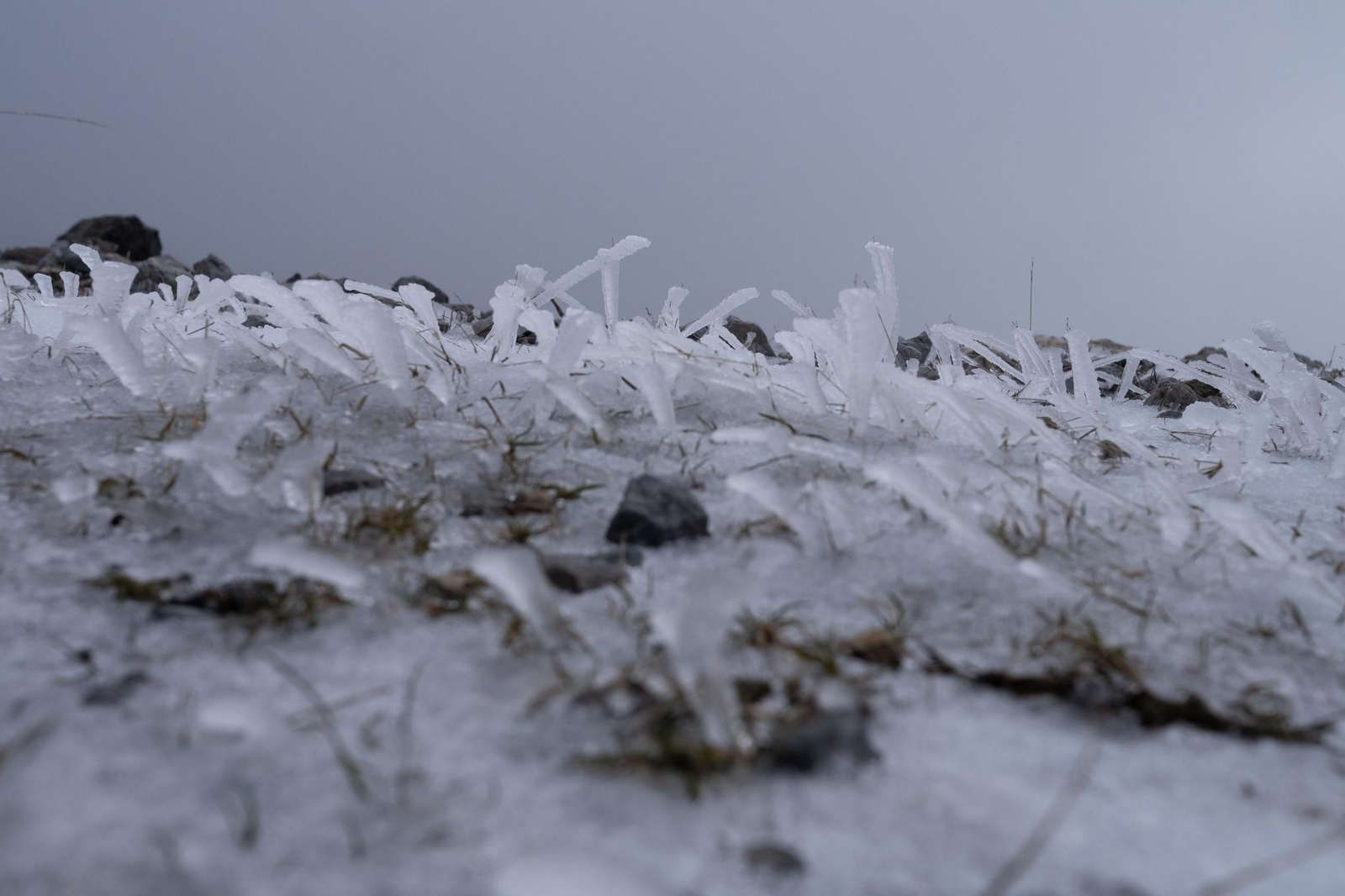 Nevada en la Sierra de las Nieves, en fotos