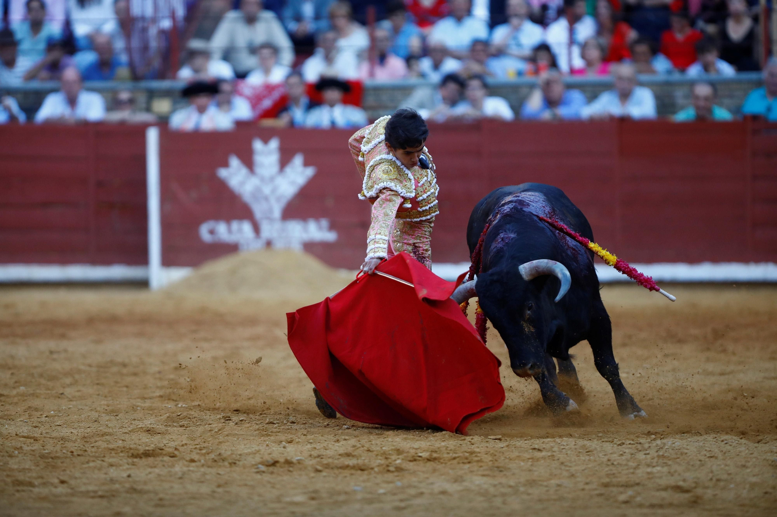La presentación del novillero Manuel Román en Córdoba, en imágenes