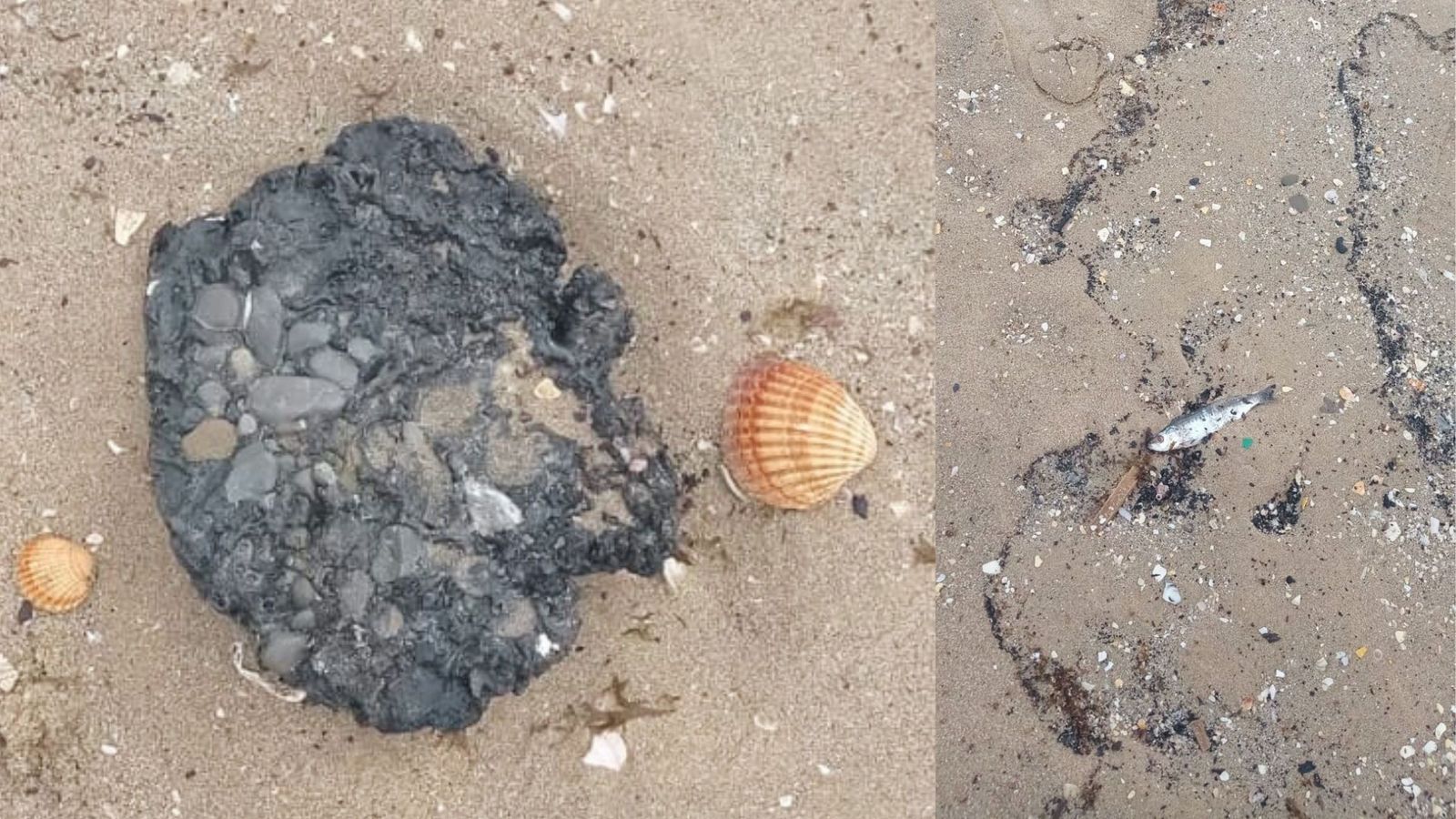 Vertidos de carbonilla y restos de hidrocarburos en la orilla de la playa de Getares, en Algeciras, este miércoles.