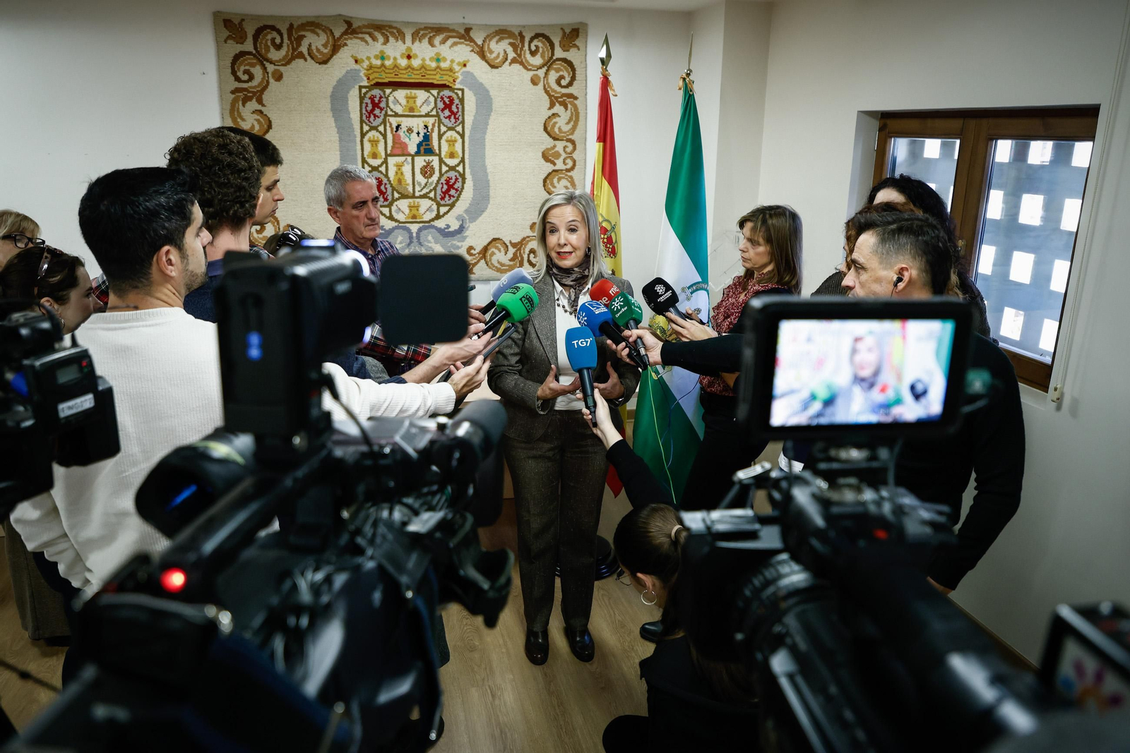 La fiscal superior de Andalucía, Ana Tárrago, en unas declaraciones este viernes en Granada.