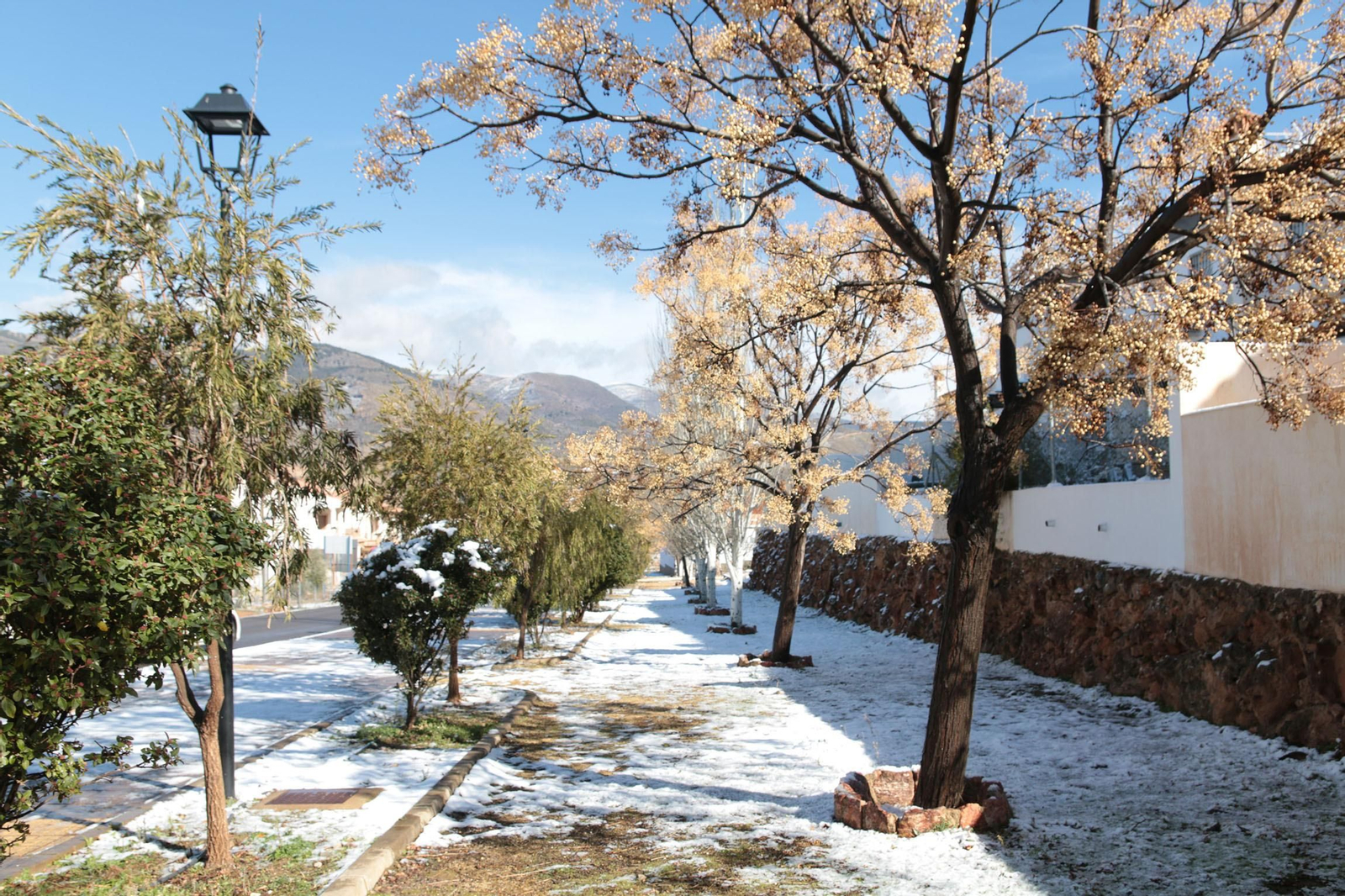 La nieve cubre de blanco la Alpujarra Almeriense