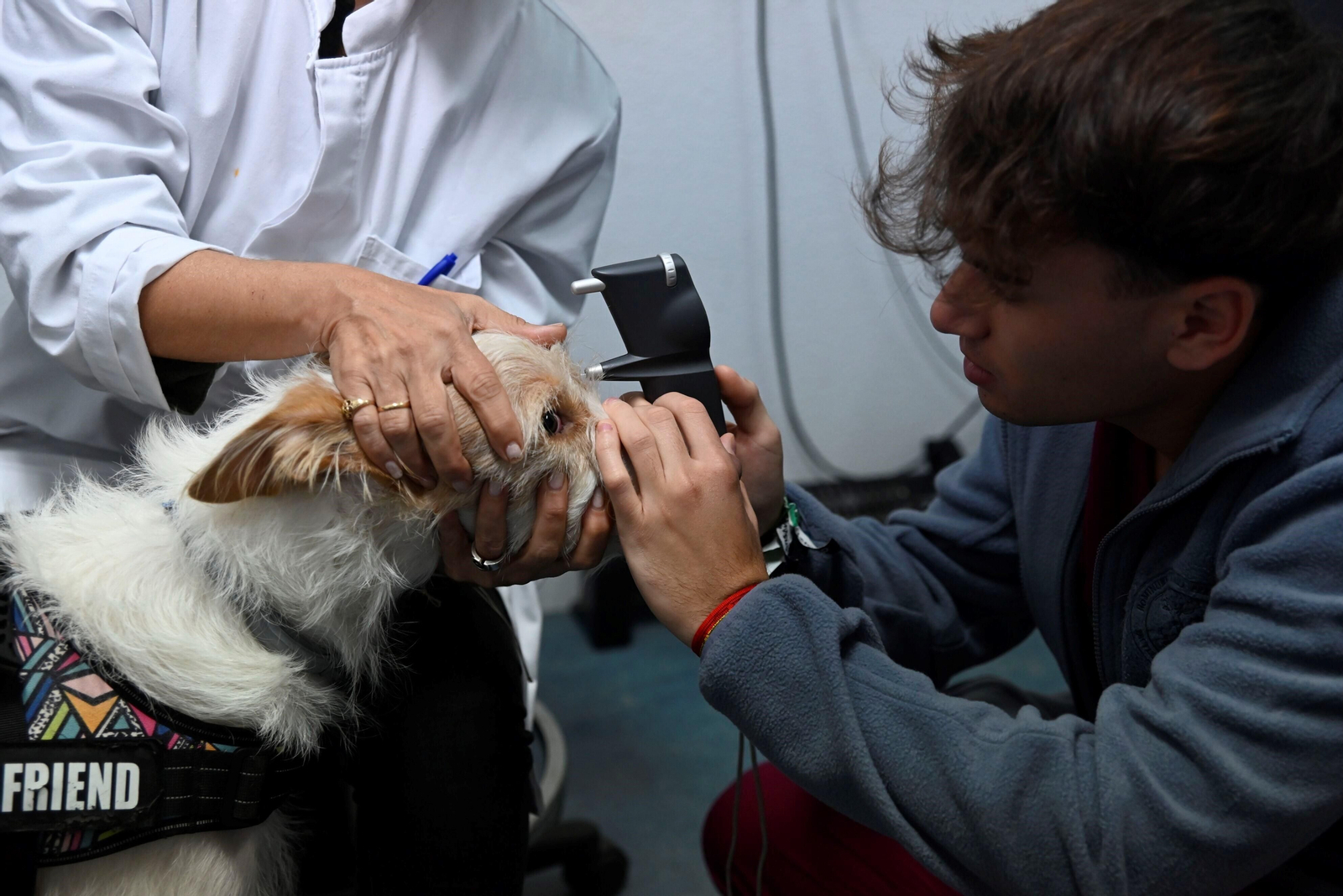 El Hospital Veterinario de la Universidad de Córdoba, en imágenes