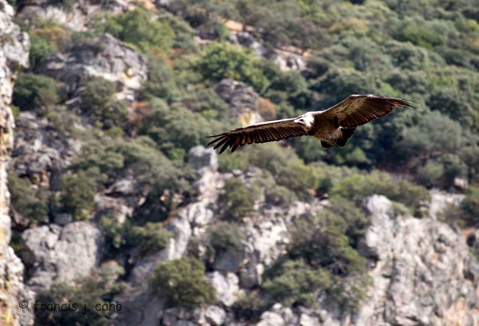 Monumento natural 'Los Órganos' de Despeñaperros