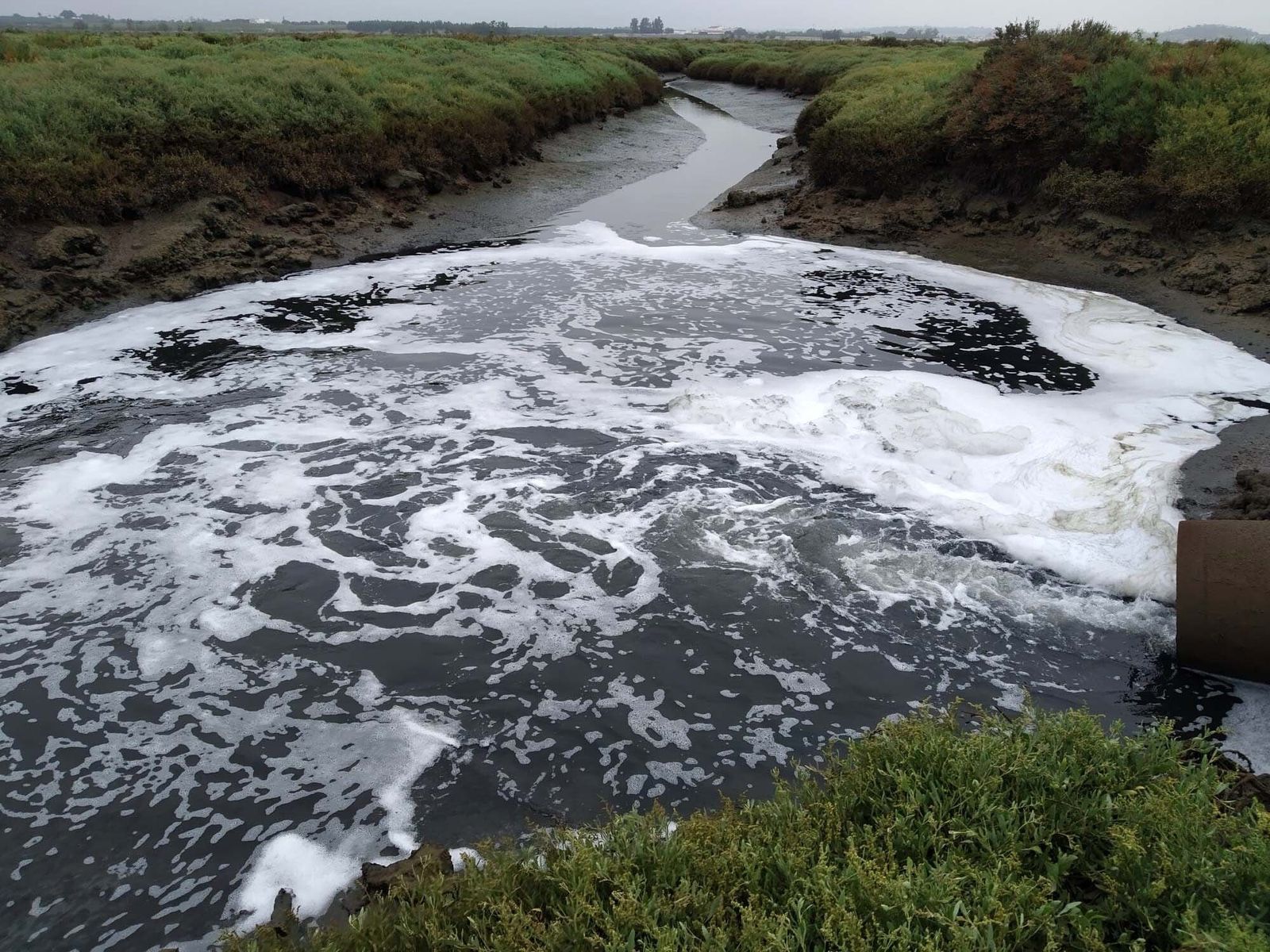 Vertidos en Isla Cristina y Ayamonte.