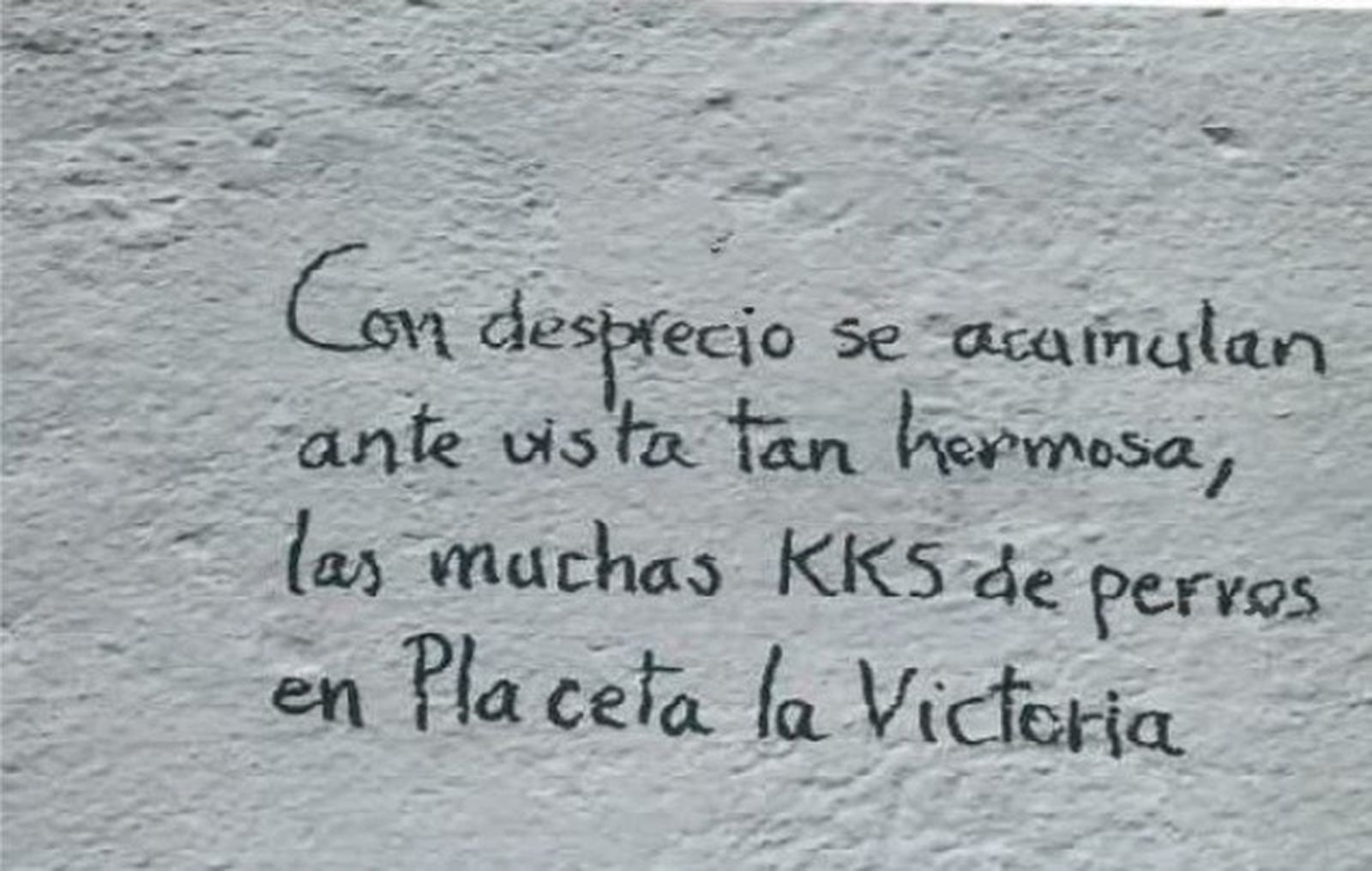 La Policía Local identifica a un hombre mayor de 60 años como autor de pintadas en el Albaicín