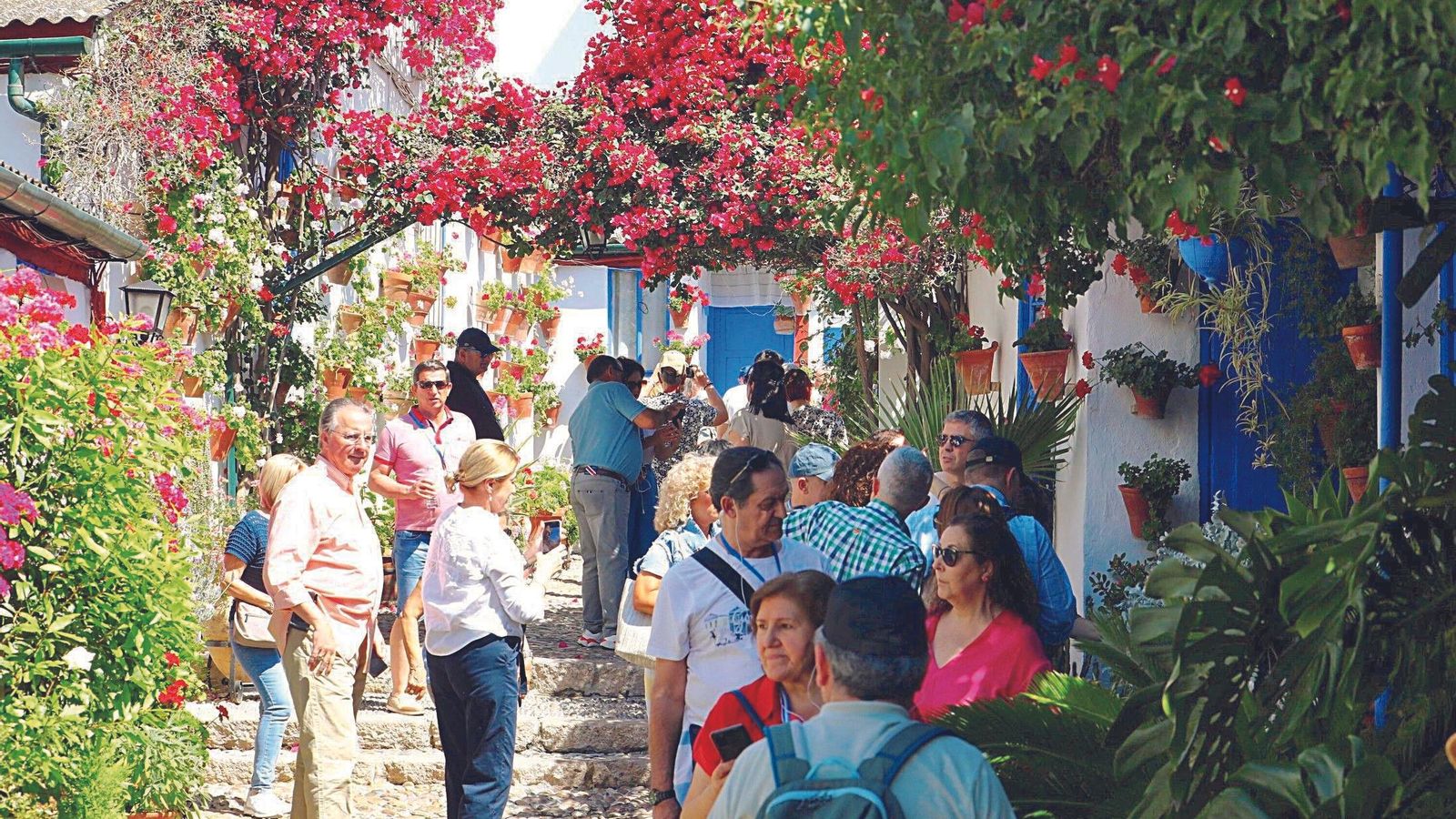 Vistas al multipremiado patio de Marroquíes, 6, en el barrio de Santa Marina.