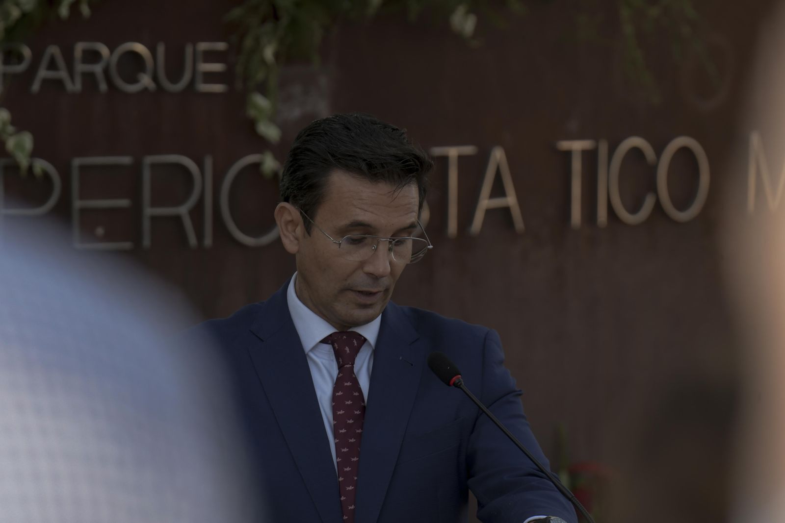 Fotos: Homenaje el cronista oficial de Granada, Tico Medina