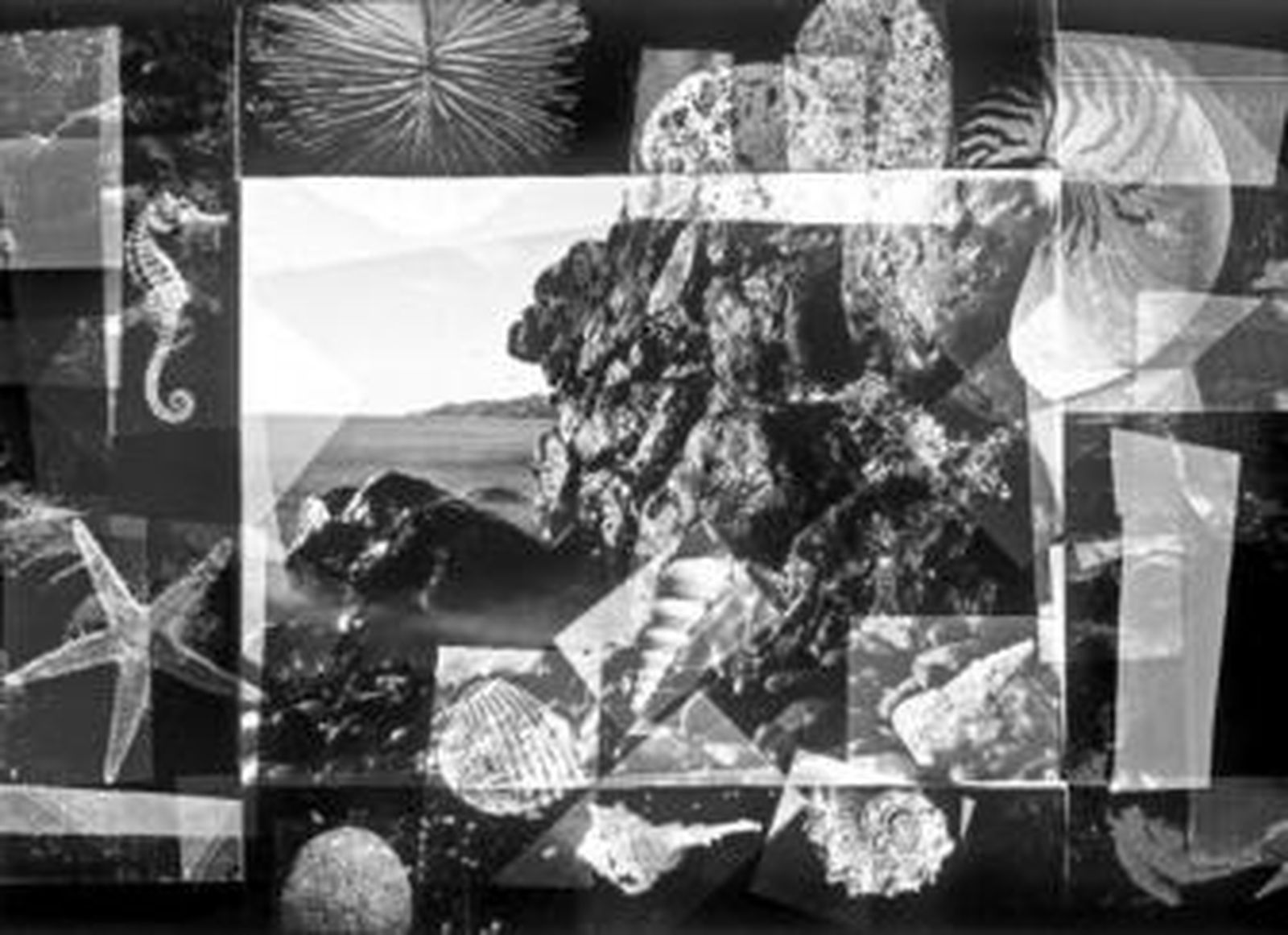 Una de las imágenes que se exponen en la Alcazaba.