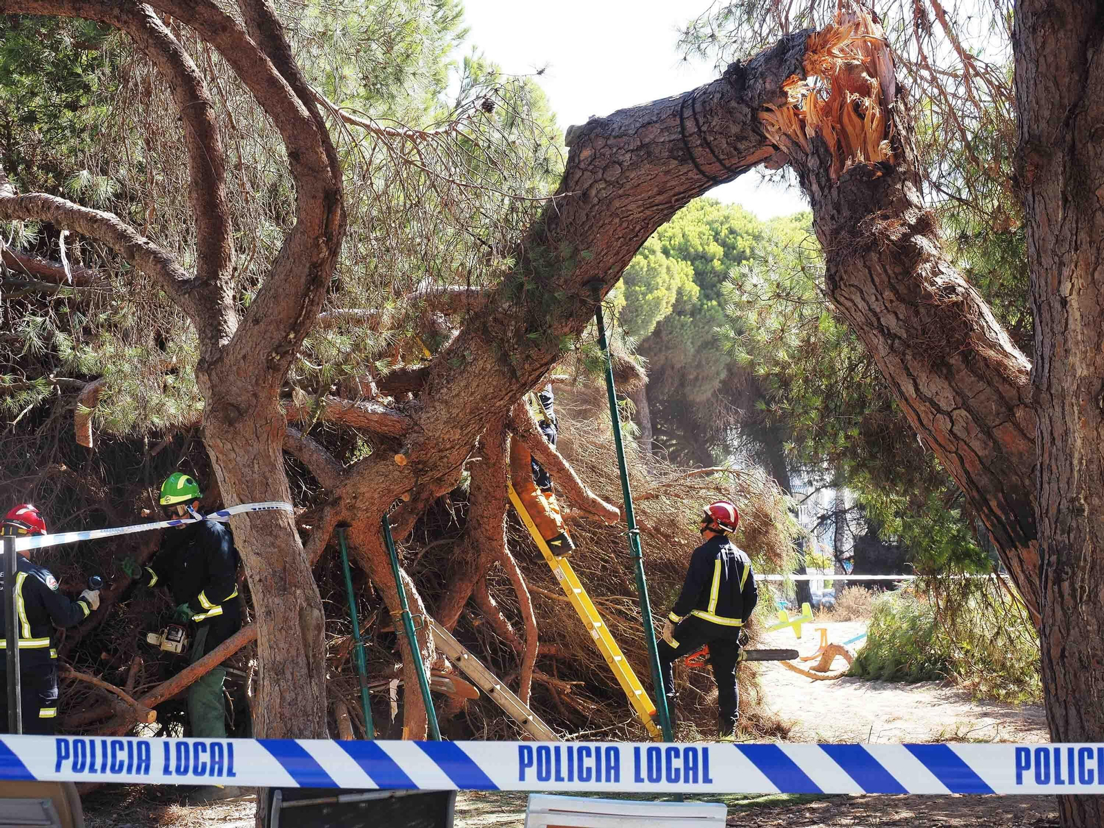 Un pino cae sobre las mesas de un restaurante en Nuevo Portil.