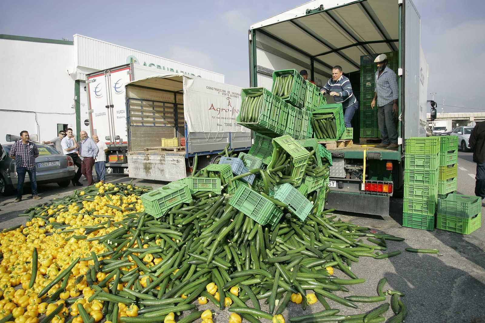 Las organizaciones agrarias de la provincia apuntan a la gran distribución como responsable de este fenómeno, comprando a pérdidas a las comercializadoras.