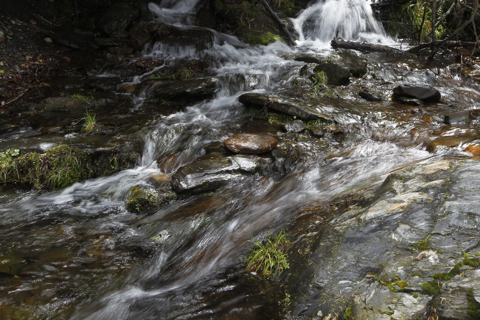 Naturaleza desconfinada. La Roza (Abrucena)