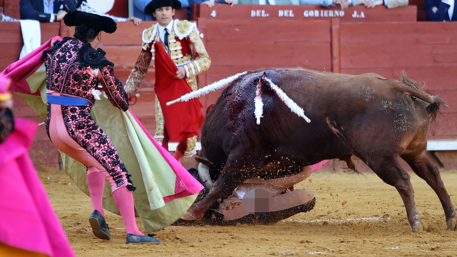 Última tarde de toros de la Feria de Jerez 2024 con Morante, Manzanares y Castella