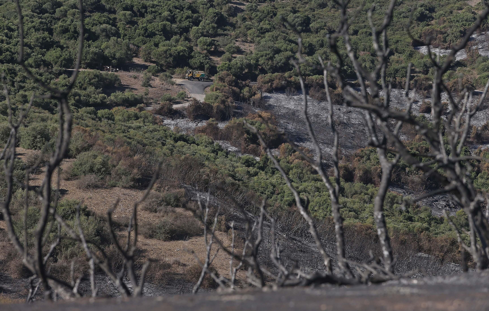 El impacto del incendio forestal de Algeciras, en imágenes