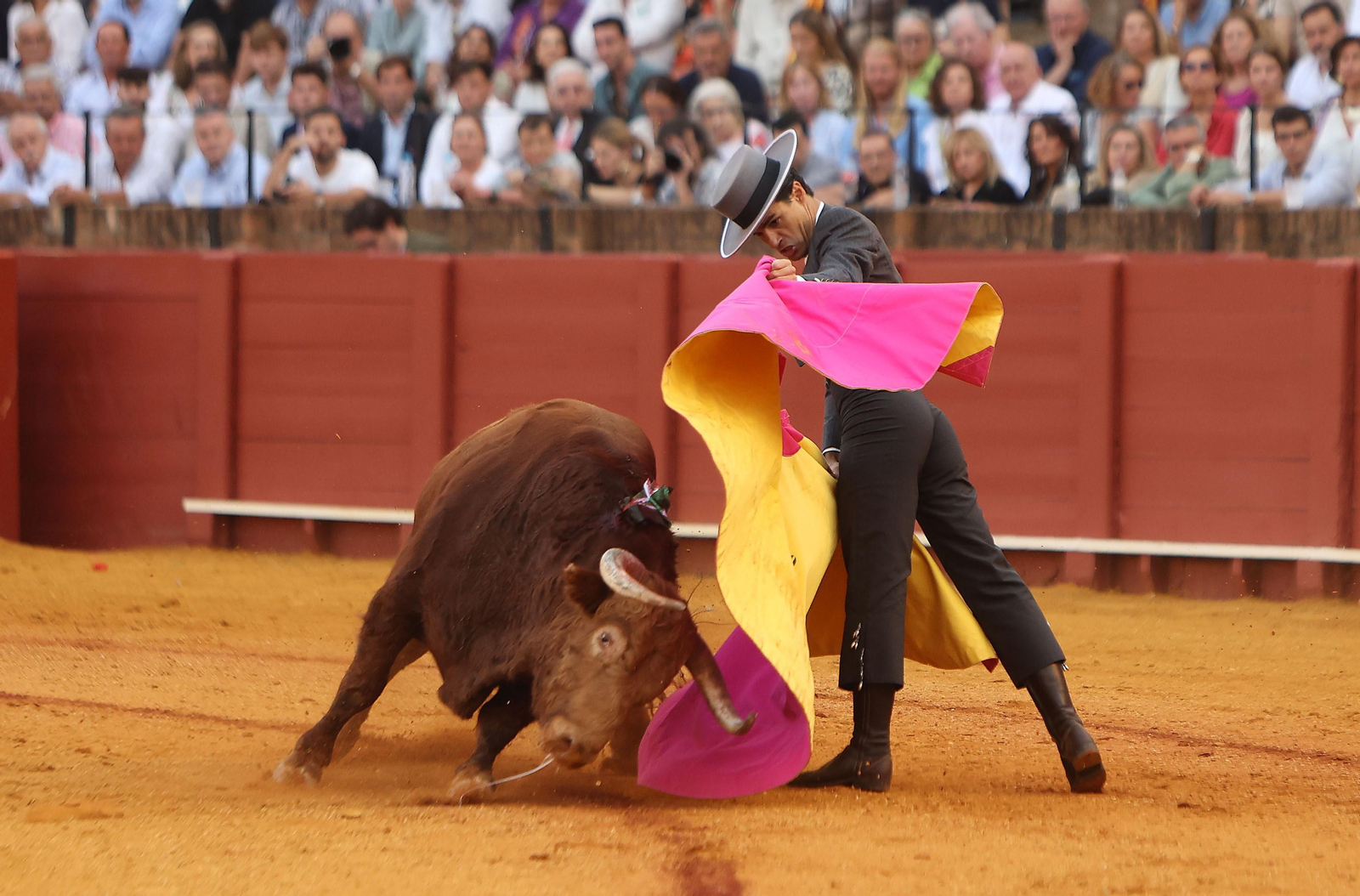 Fotos del Festival taurino a beneficio de l de la Hermandad del Rocío de Triana y de la Fundación Alalá