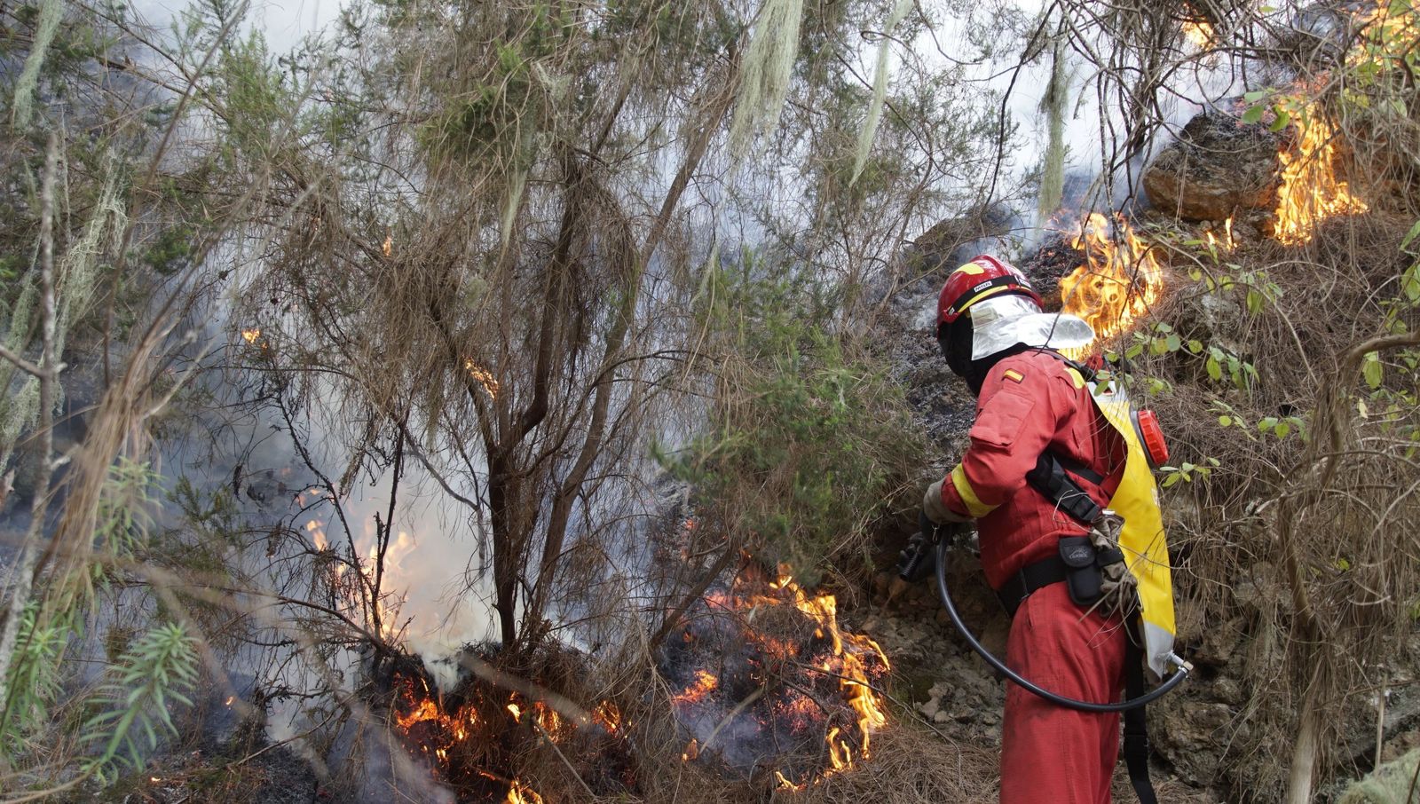 Un bombero lucha contra las llamas en el incendio de Tenerife.