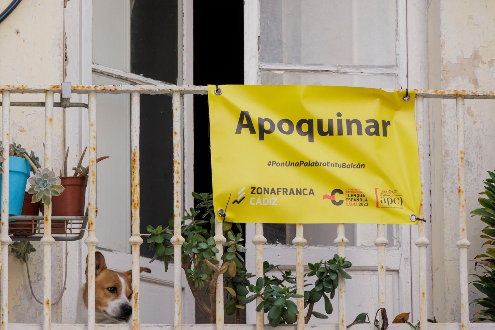 Palabras gaditanas cuelgan de los balcones de Cádiz