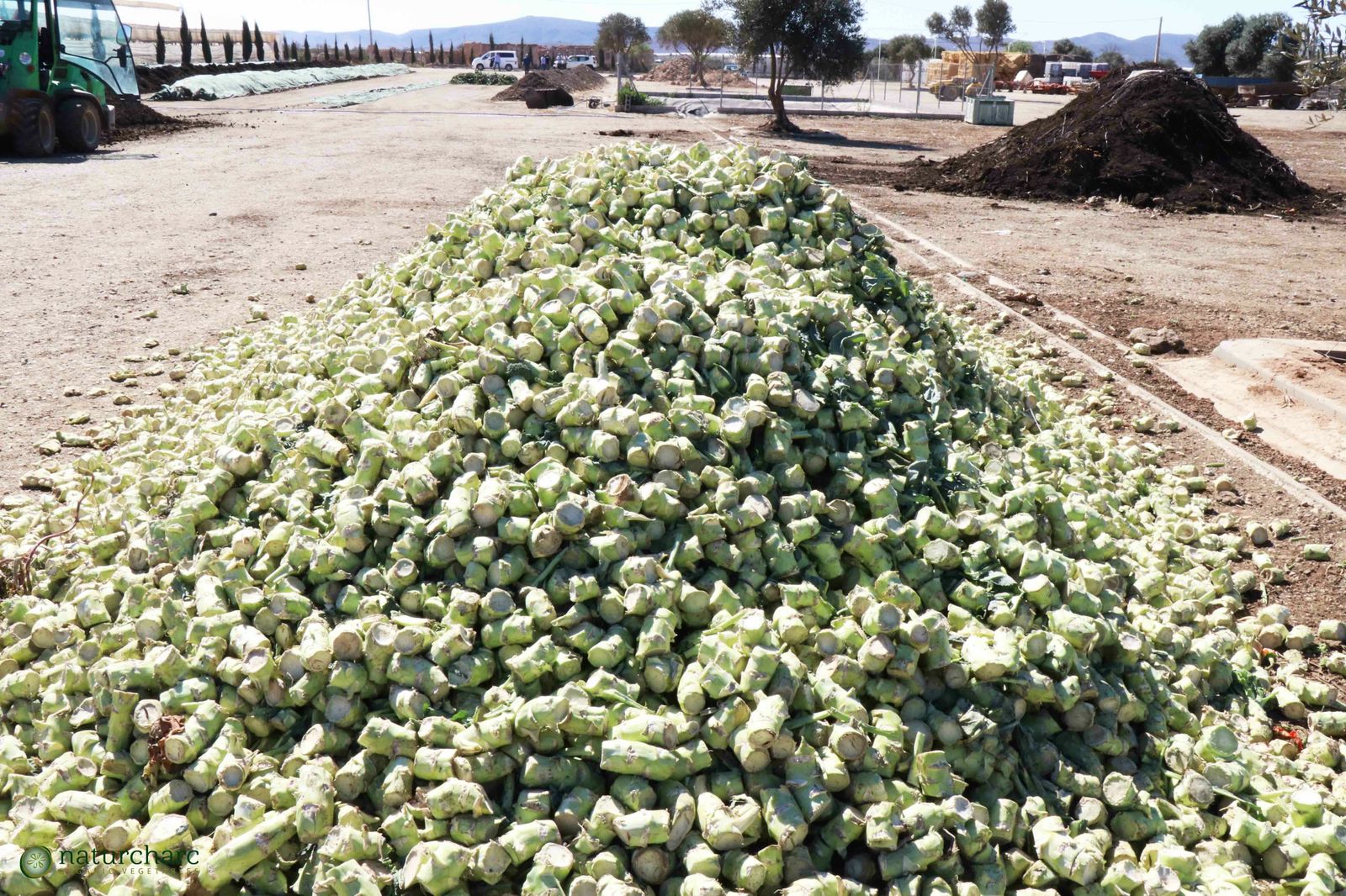 Imagen del compost bio que utiliza la empresa nijareña Naturcharc.
