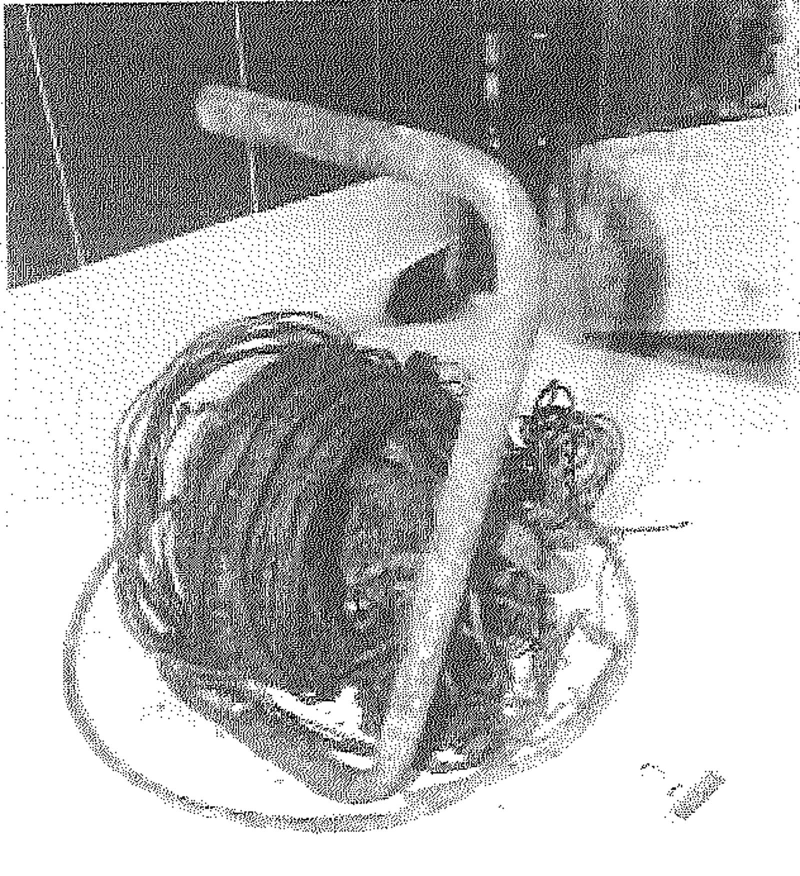 La alargadera que se sobrecalentó y provocó el siniestro de La Hispanidad.