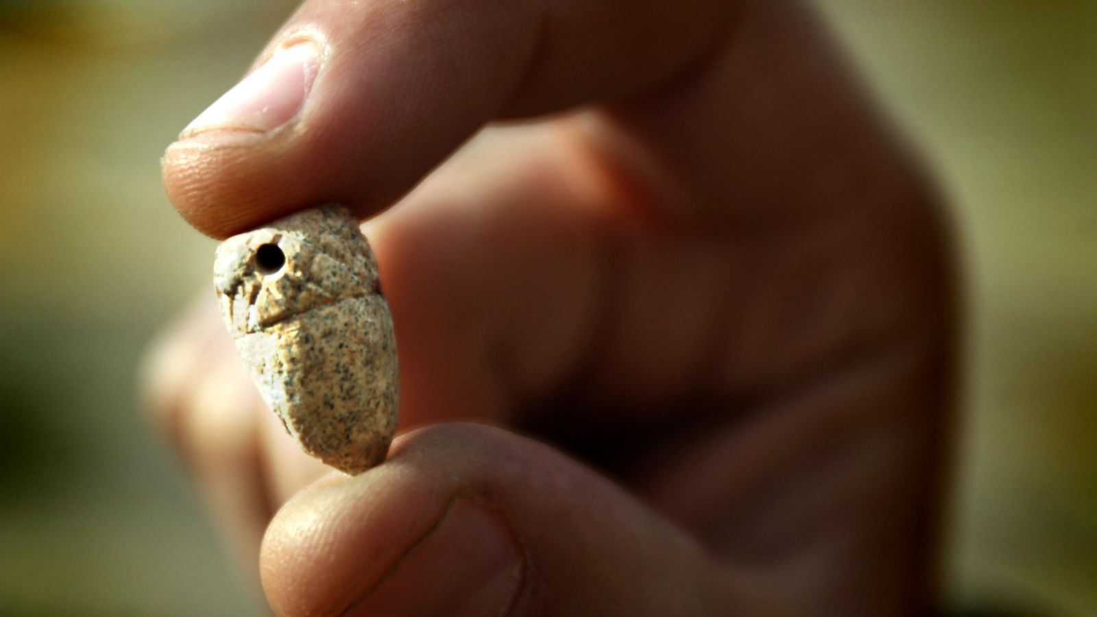 El símbolo de la bellota