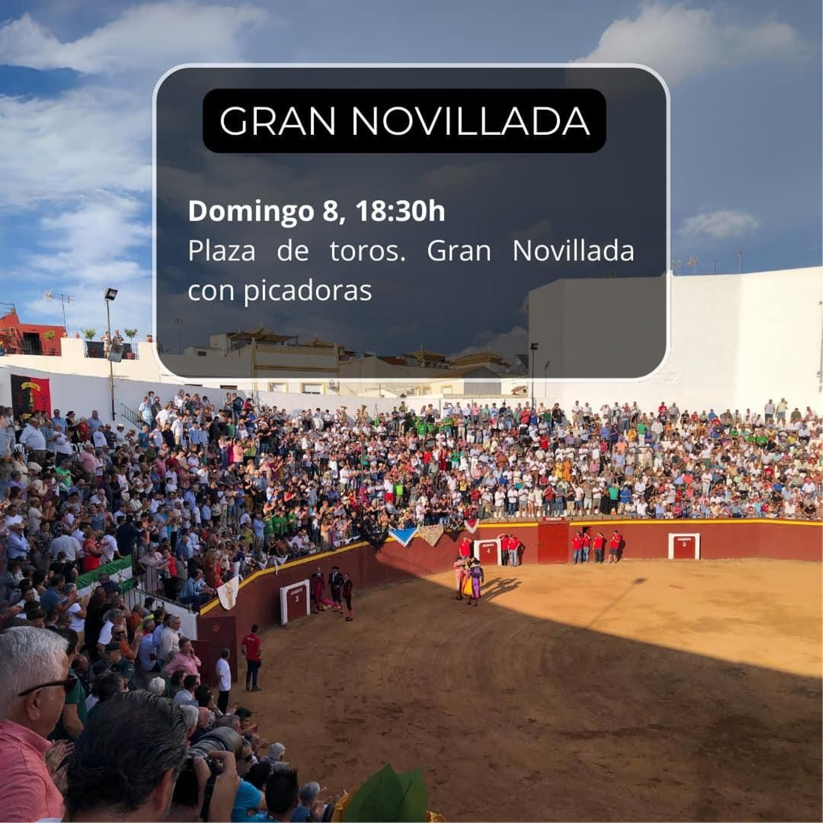Gran Novillada Domingo 8 uno.jpg