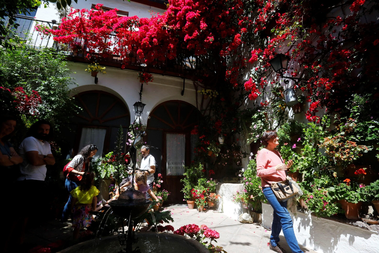 Los Patios de la Ruta de Santiago-San Pedro, en imágenes