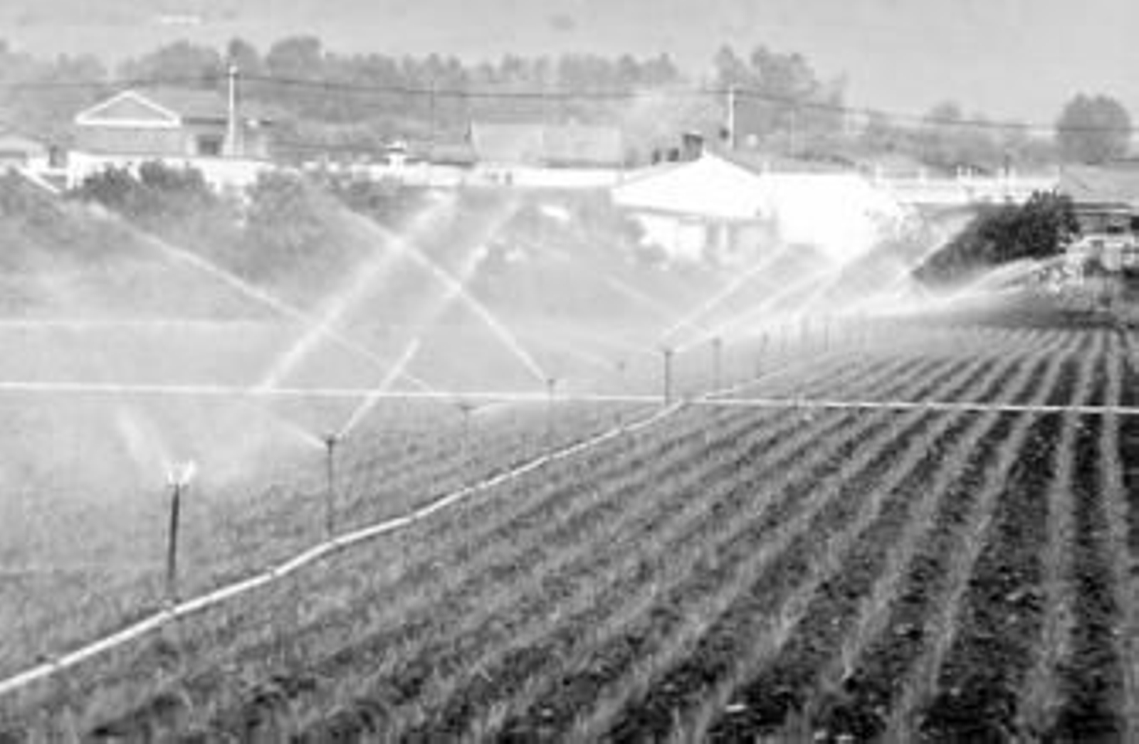 Imagen de un campo de regadío en la provincia cordobesa.