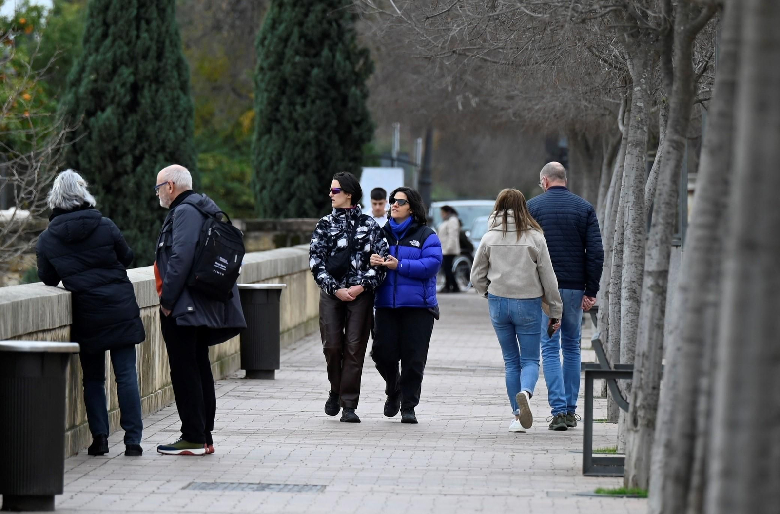 Un paseo en imágenes por la Ribera de Córdoba una gélida mañana
