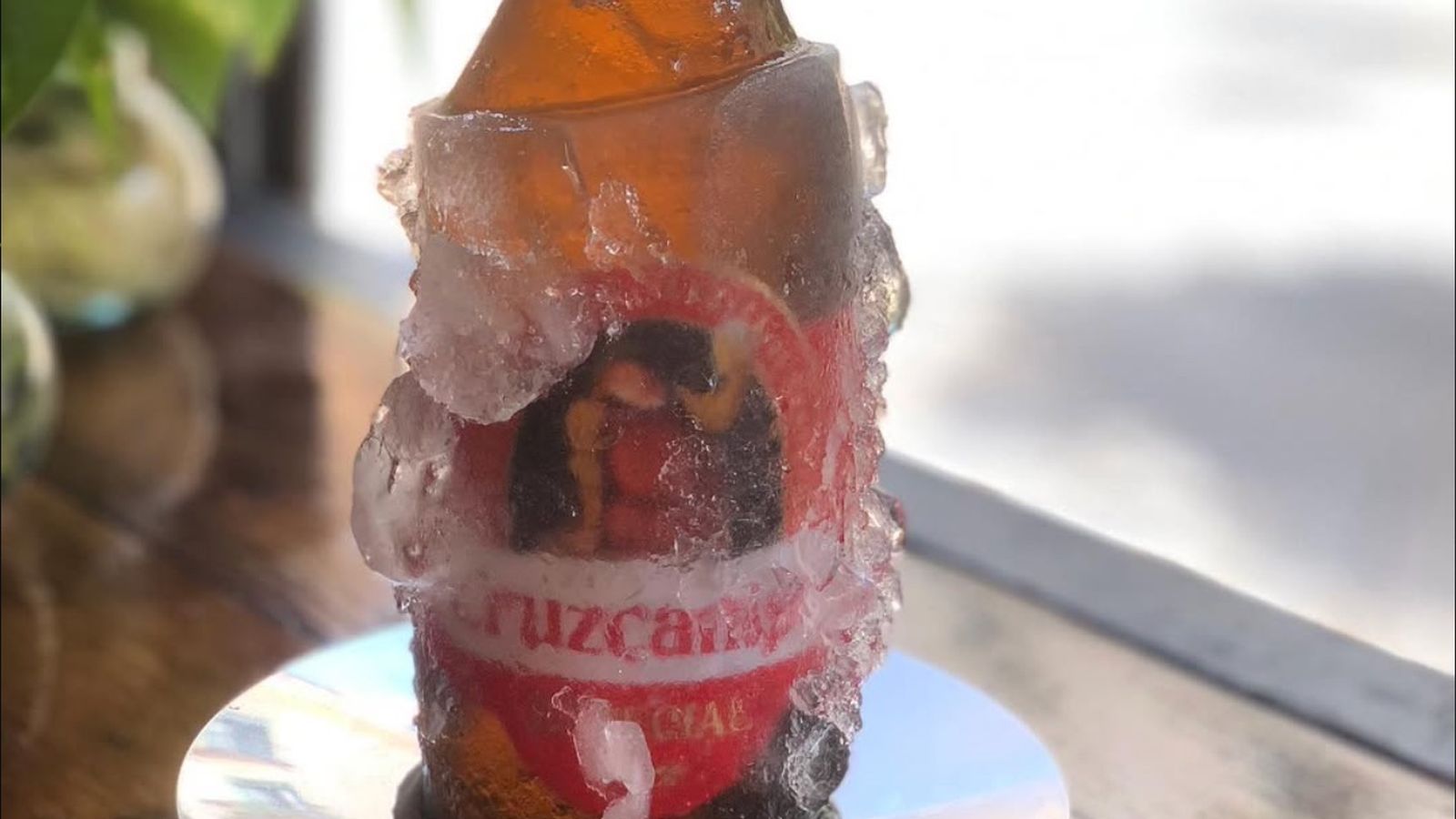 Cerveza fría en La Sede