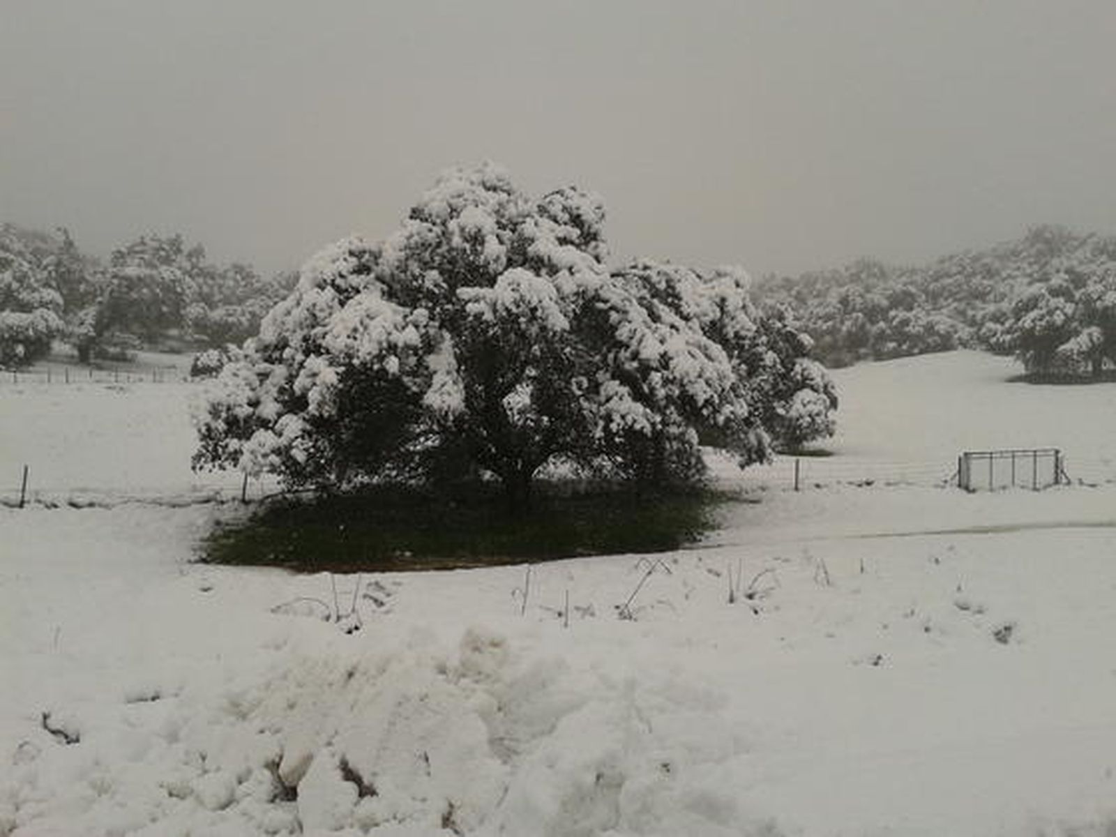 Cazalla de la Sierra.

Foto: Monte Osorio