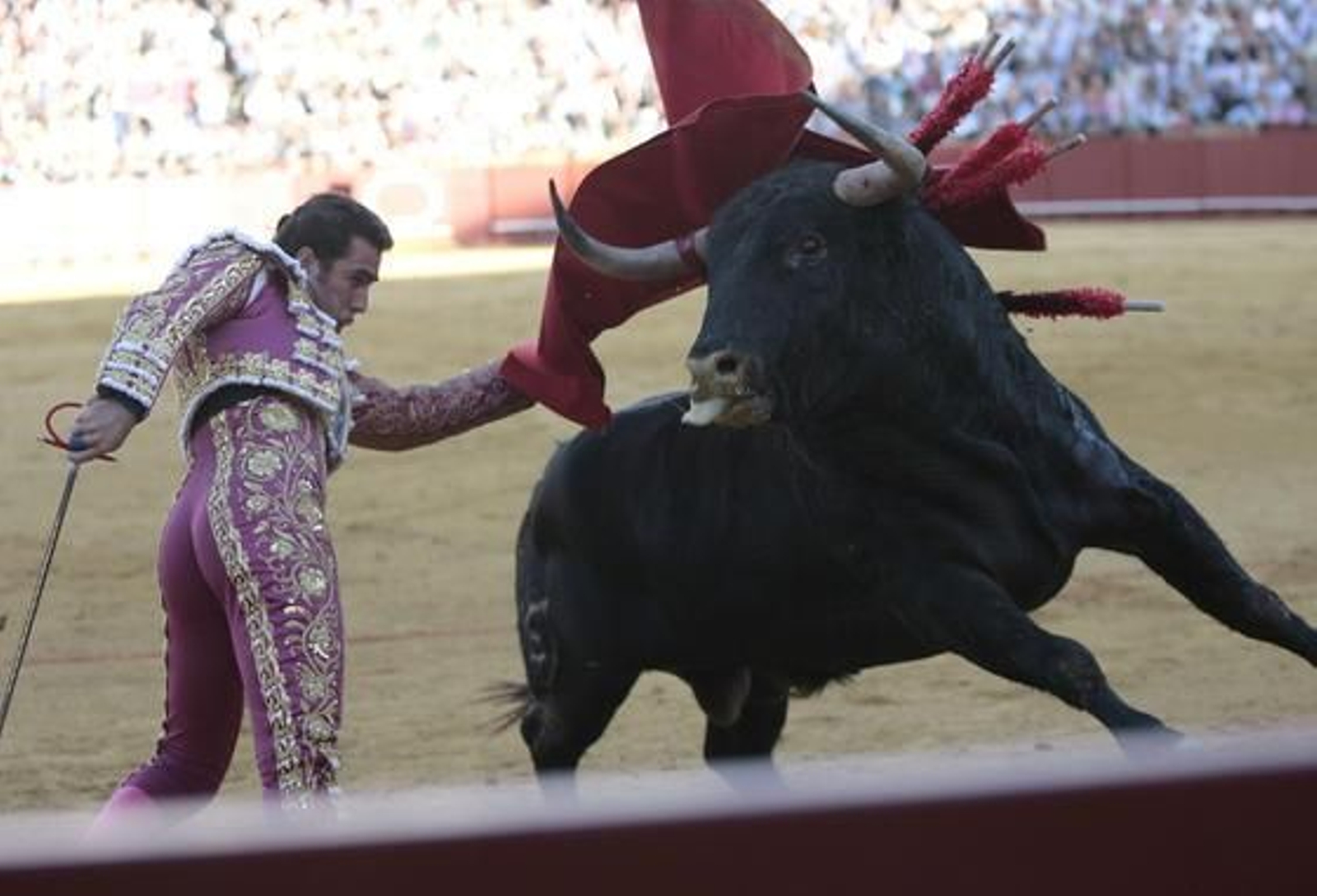 Foto: Juan Carlos Muñoz