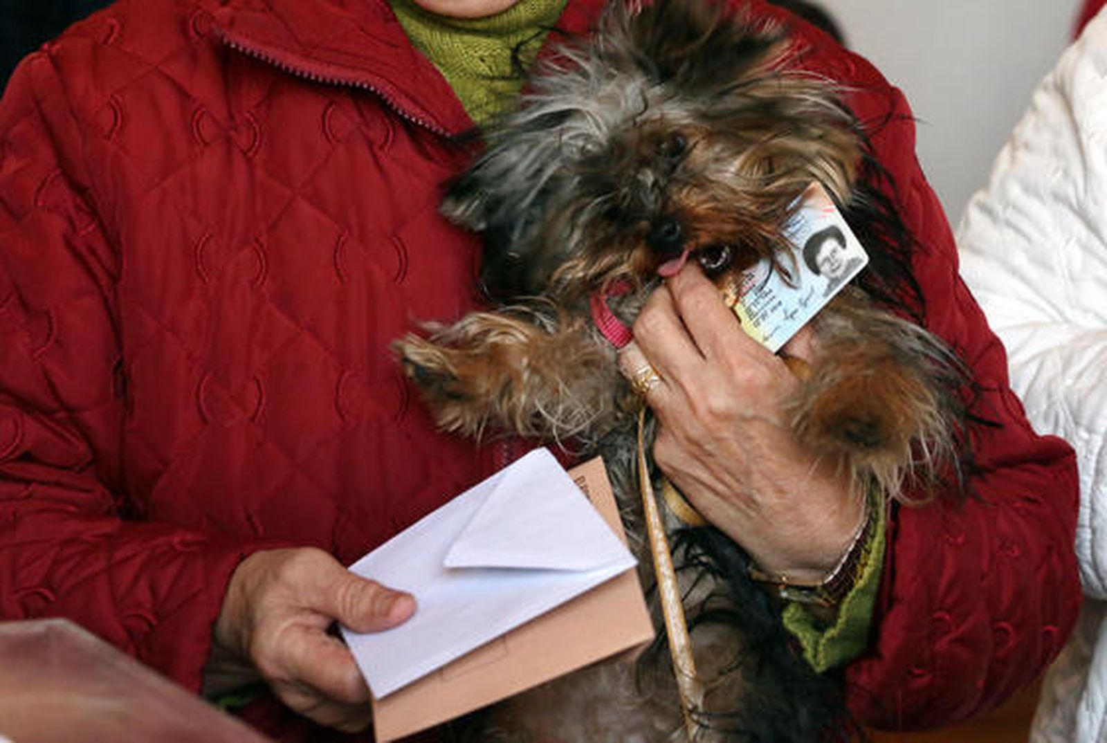 Foto: Rafael A. Butelo