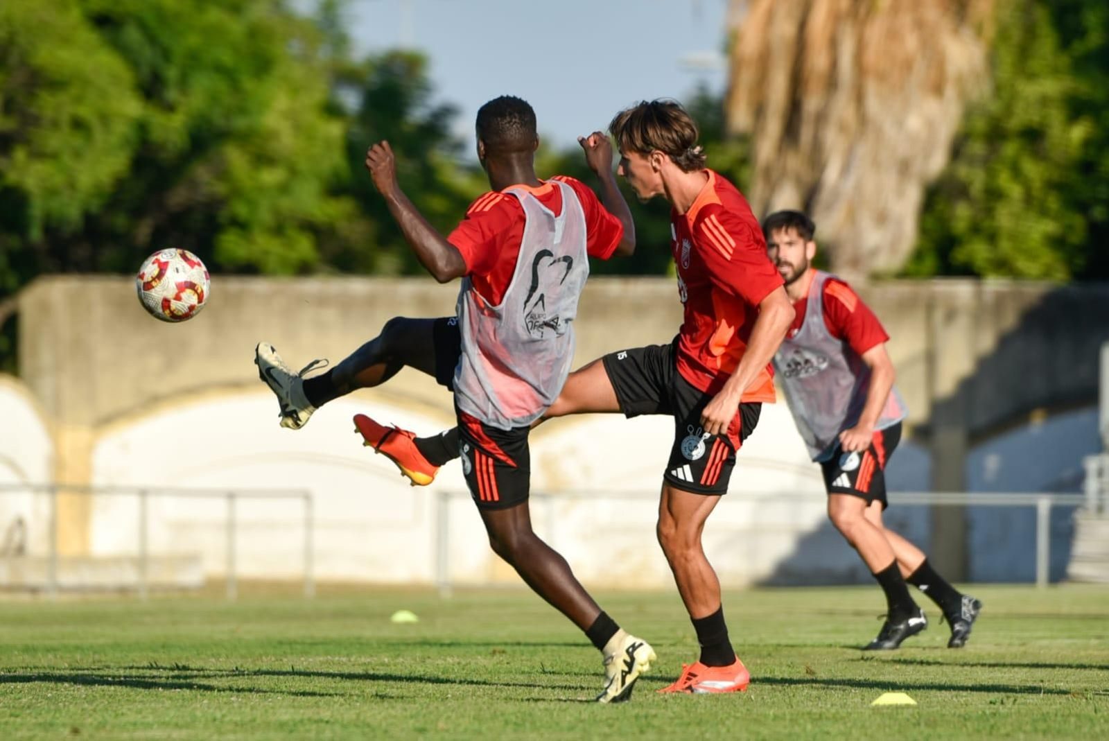 Las imágenes del entrenamiento del Xerez CD en el Estadio Pedro Garrido
