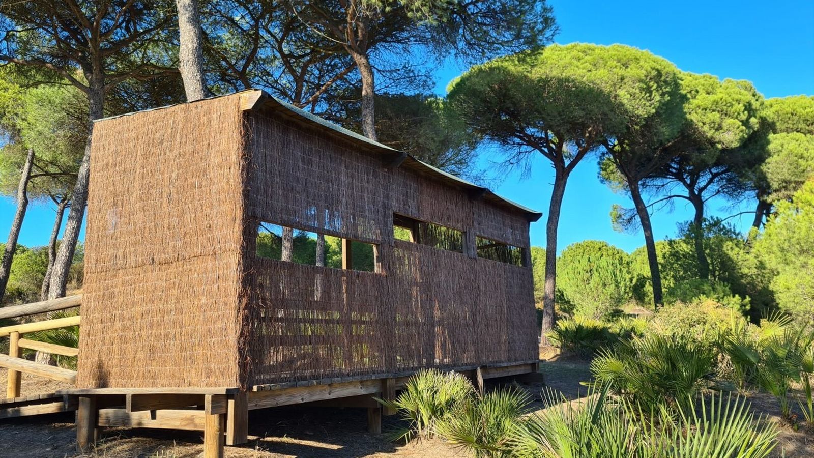 Observatorio aves Domingo Rubio