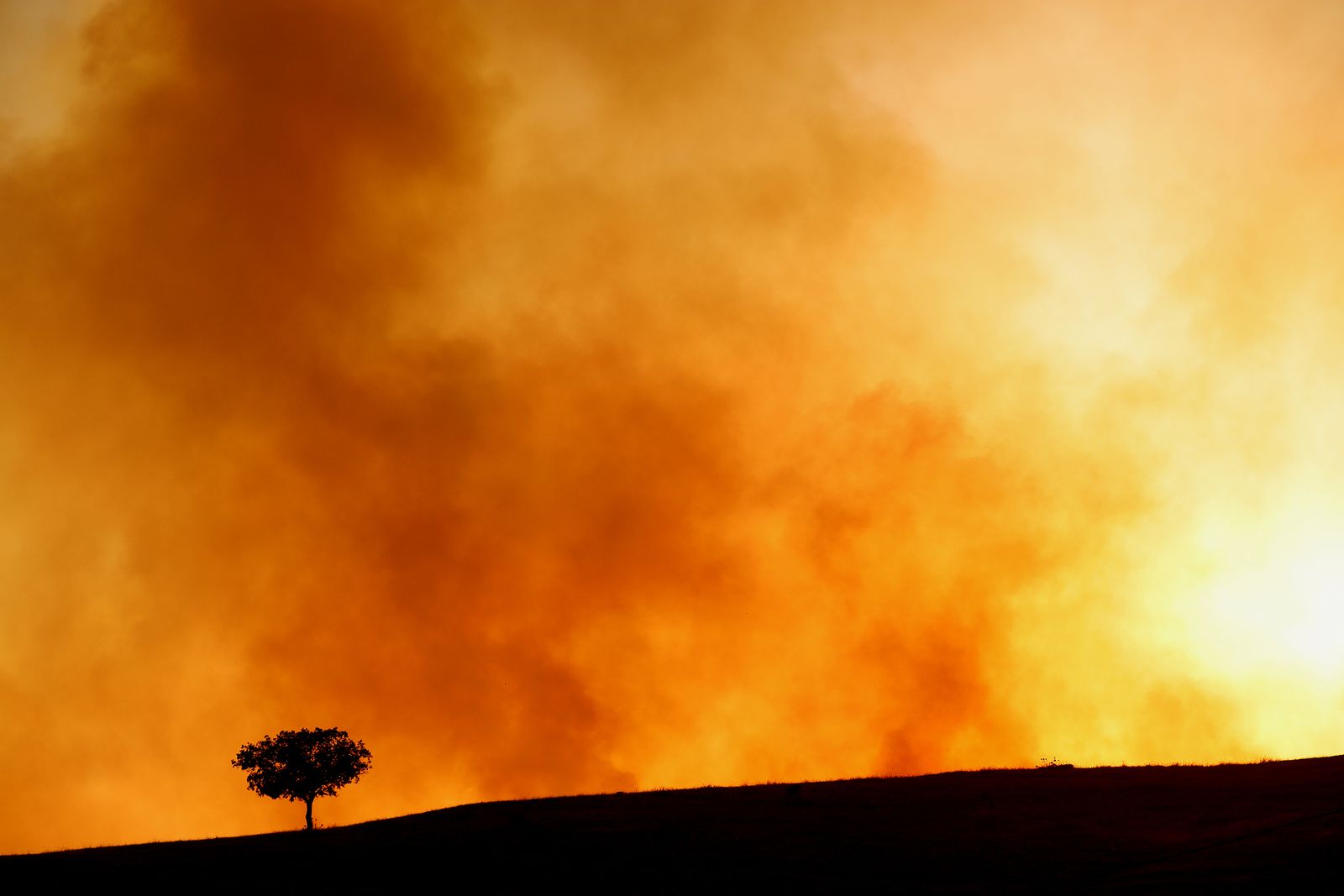 Imágenes del incendio en Almonaster La Real