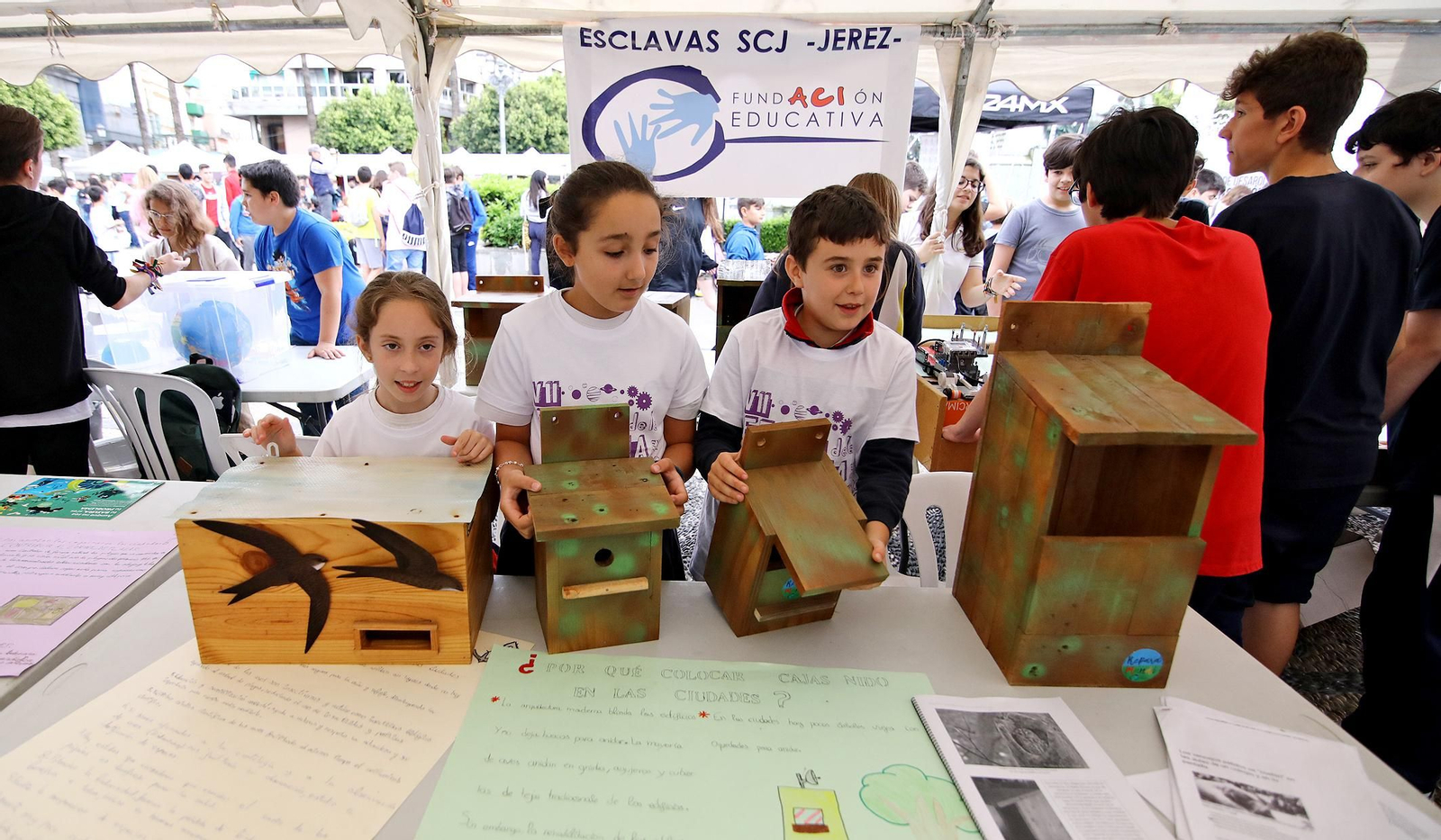 Imágenes de la VII Feria de la Ciencia en la Calle