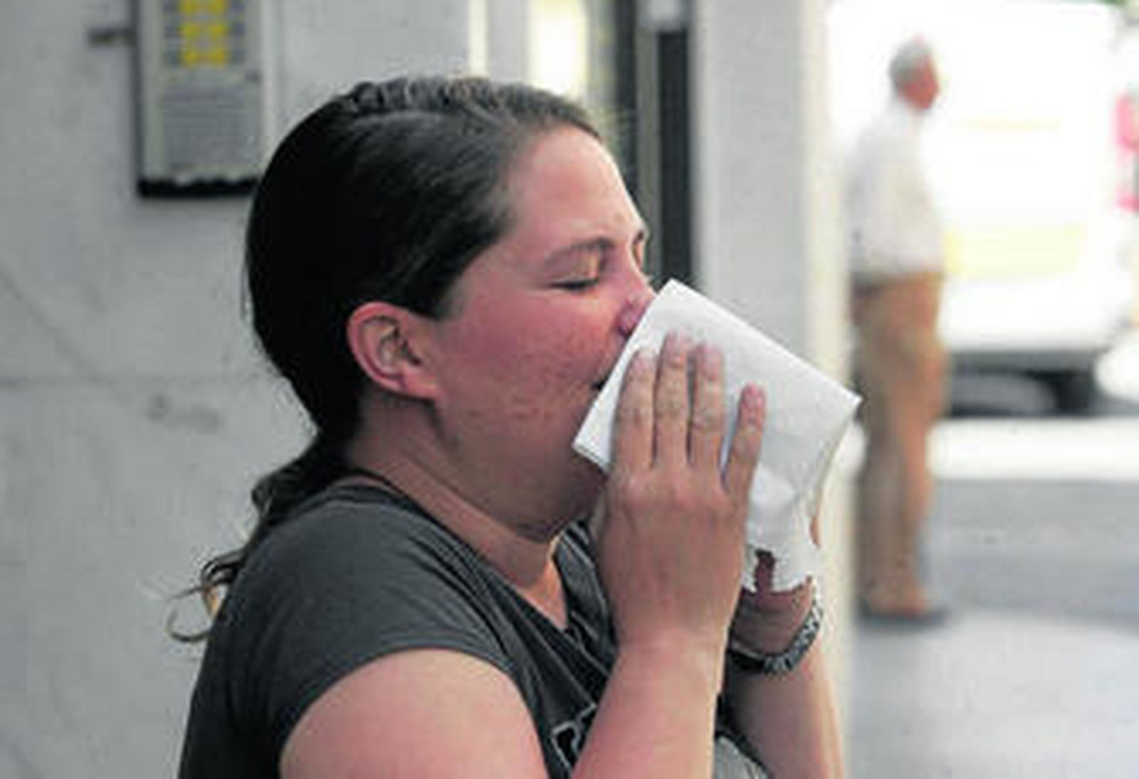 Estornudos estivales