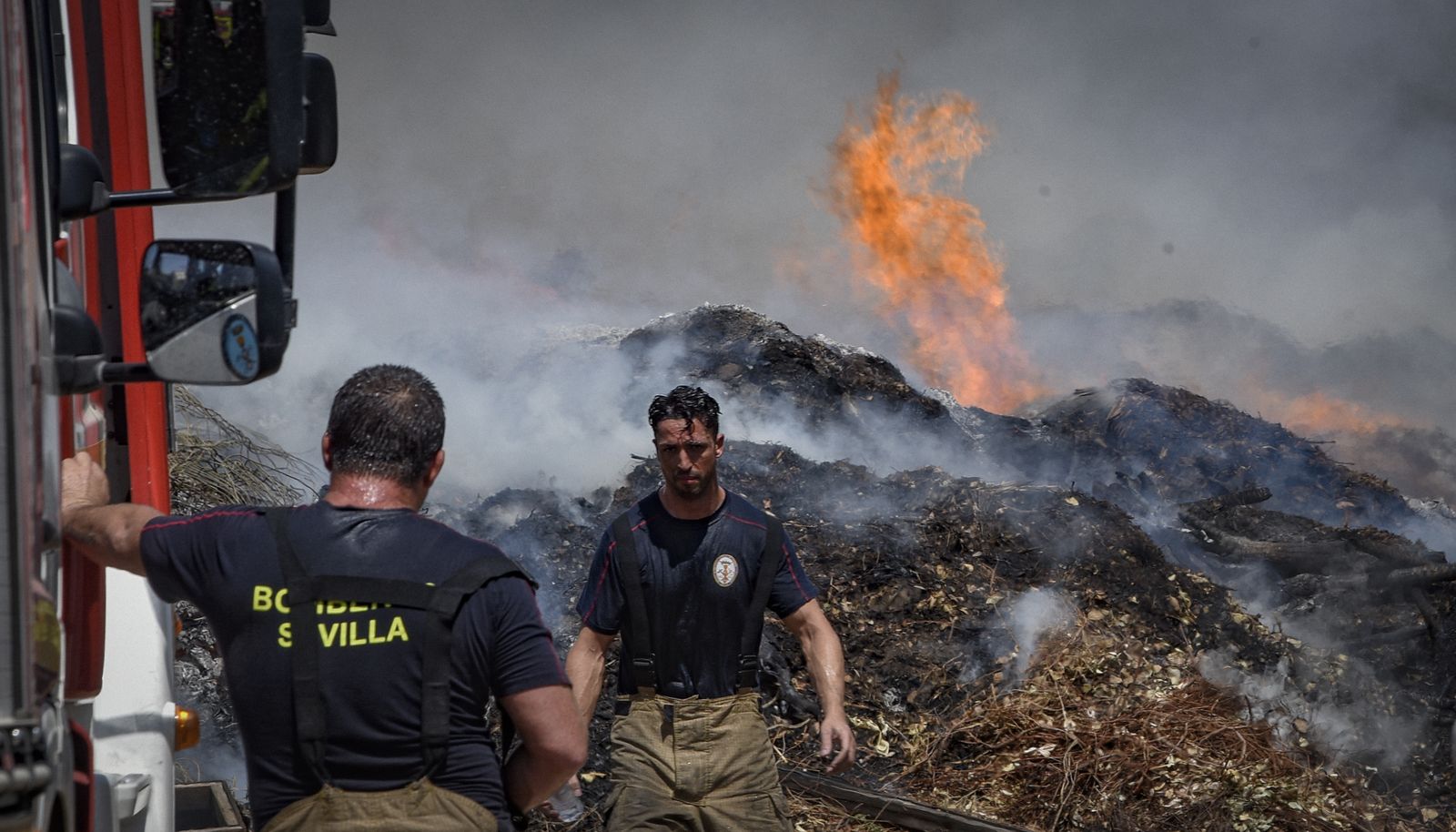 Bomberos de Sevilla extinguen un incendio en una empresa residuos vegetales