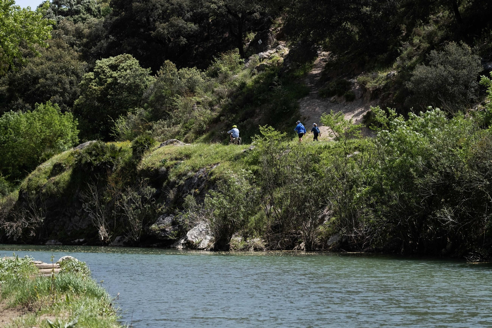 Primavera en la Serranía de Ronda, en imágenes.