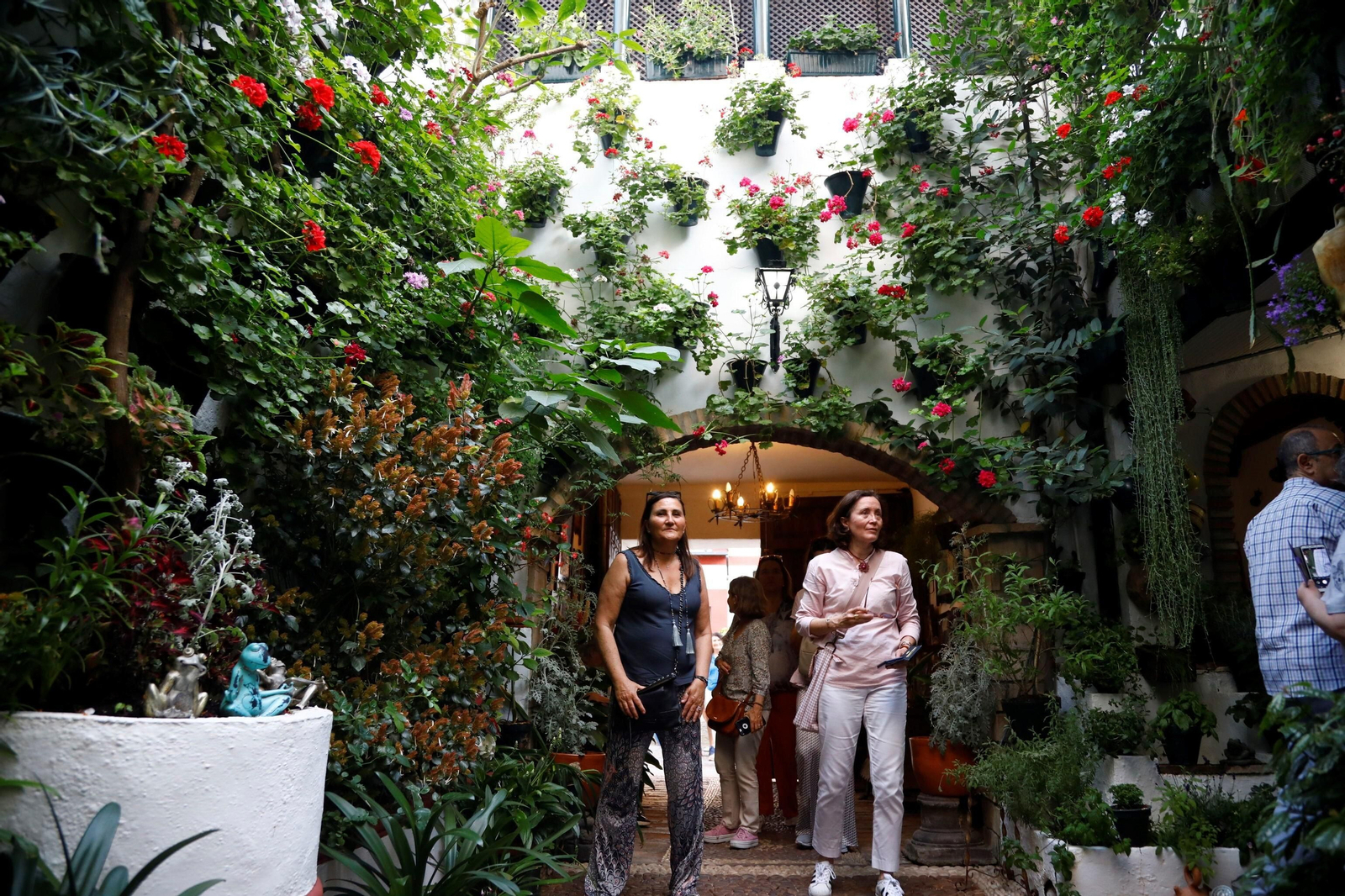 Los ganadores del Concurso de Patios de Córdoba 2023, en imágenes