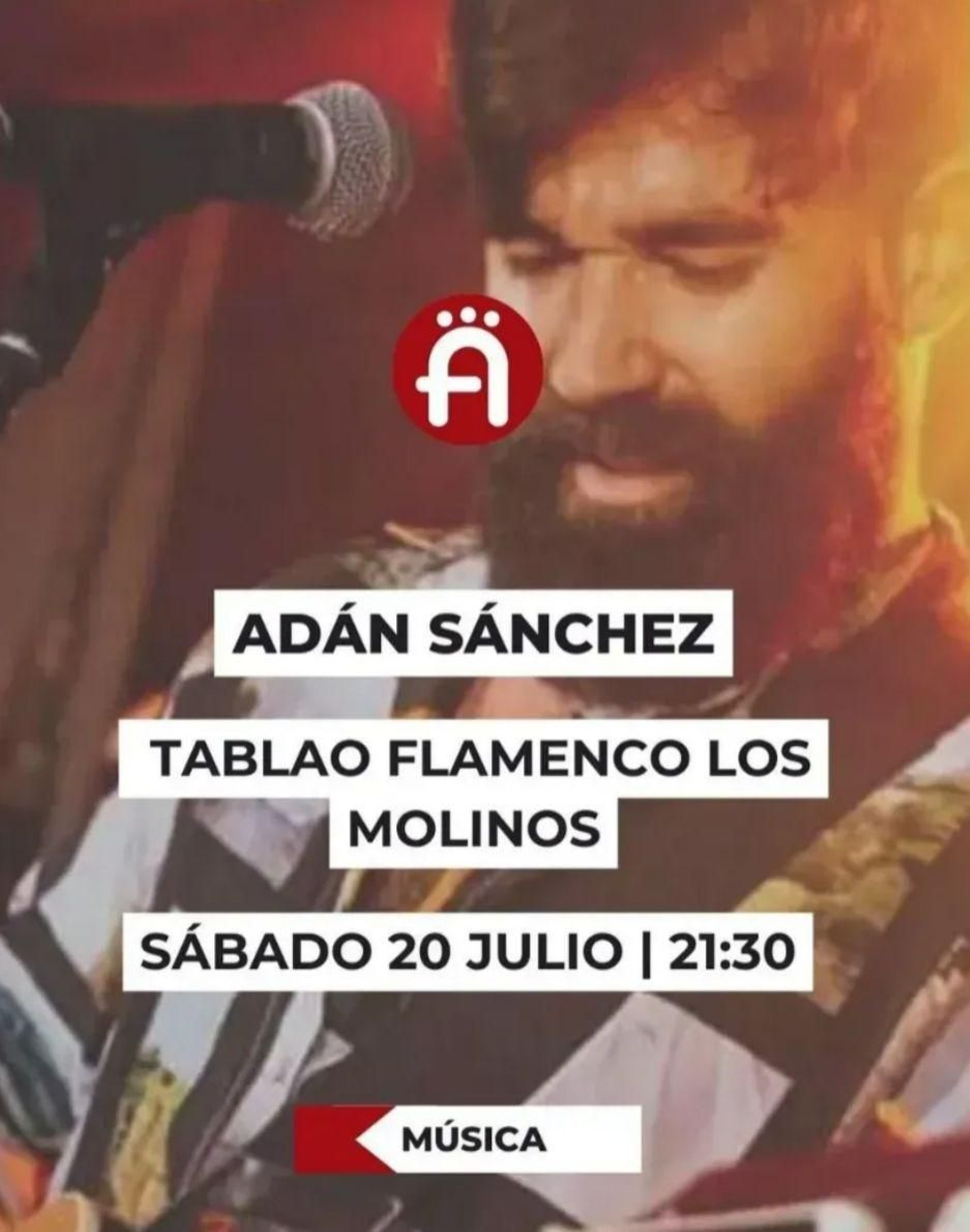 adán Sánchez, en Tablao Flamenco Los Molinos, Arcos. WhatsApp Image 2024-07-18 at 18.13.37.jpeg
