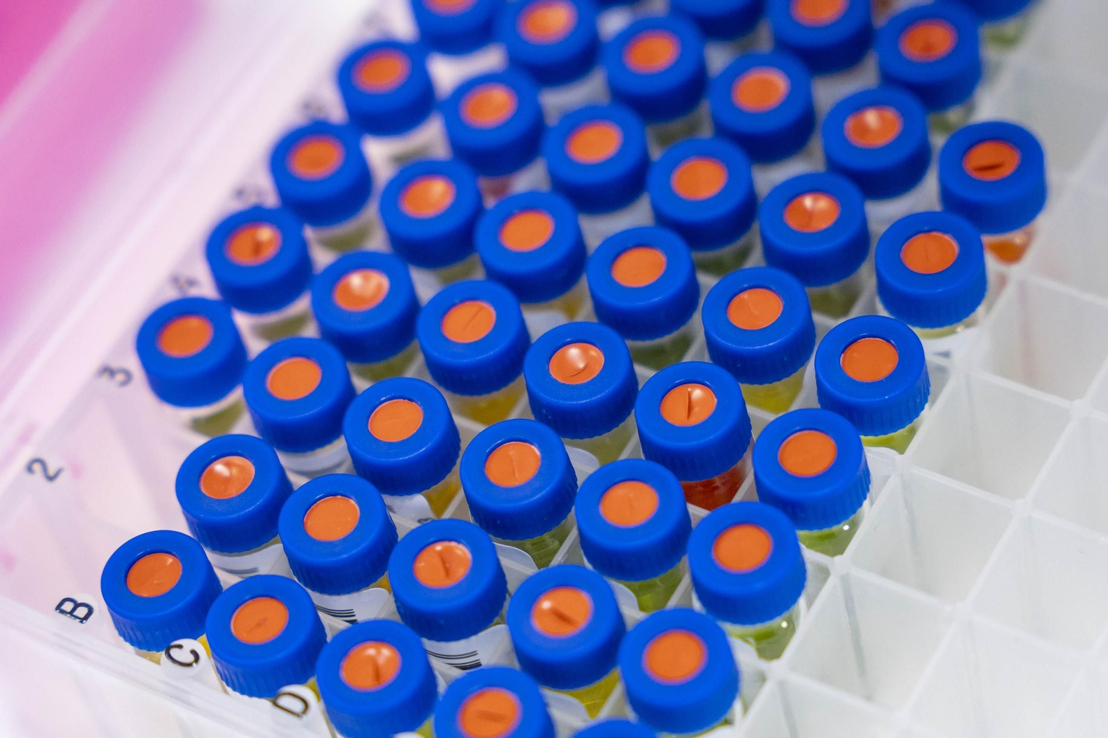 CIT COEX abre sus puertas al futuro: innovación, conocimiento y territorio