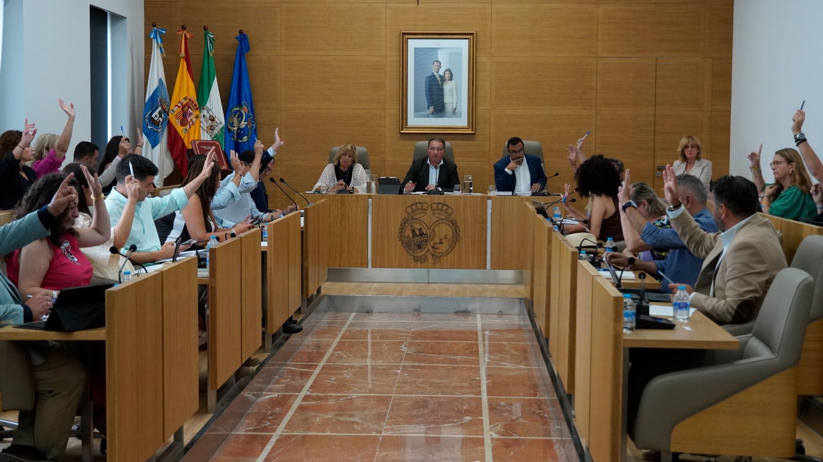 Pleno de la Diputación. Pleno de la Diputación.