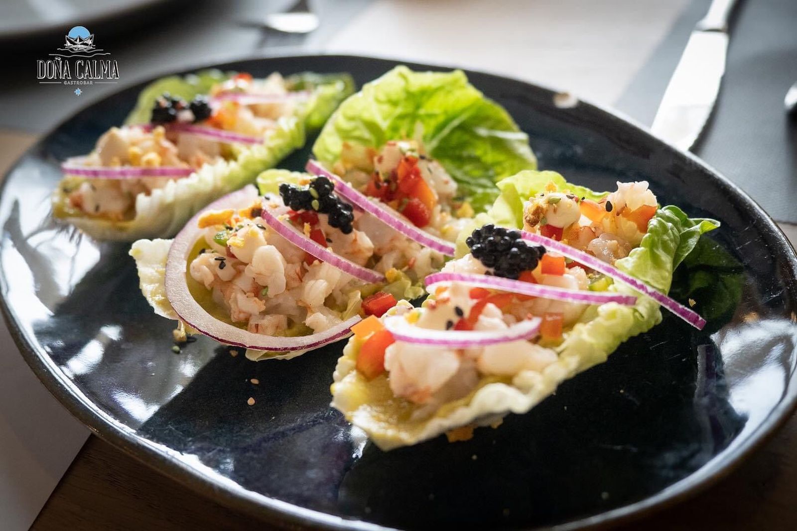 WhatsApp Image 2024-08-07 at 22.58.57.jpeg