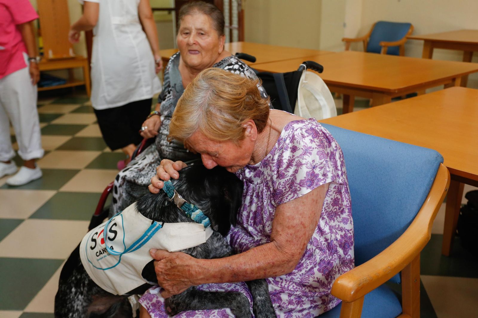 La visita de los perros de la protectora de Los Barrios a la residencia de mayores, en imágenes