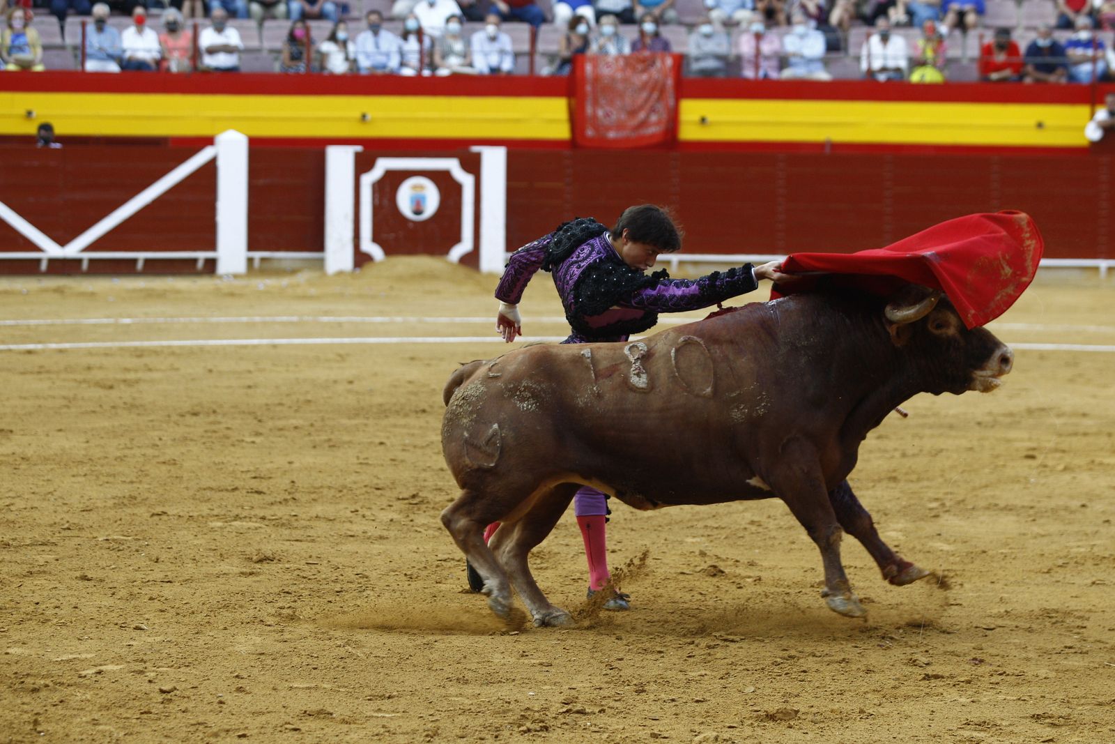 Fotogalería corrida de toros. Cayetano Rivera, Paco Ureña y Roca Rey. Roquetas de Mar.