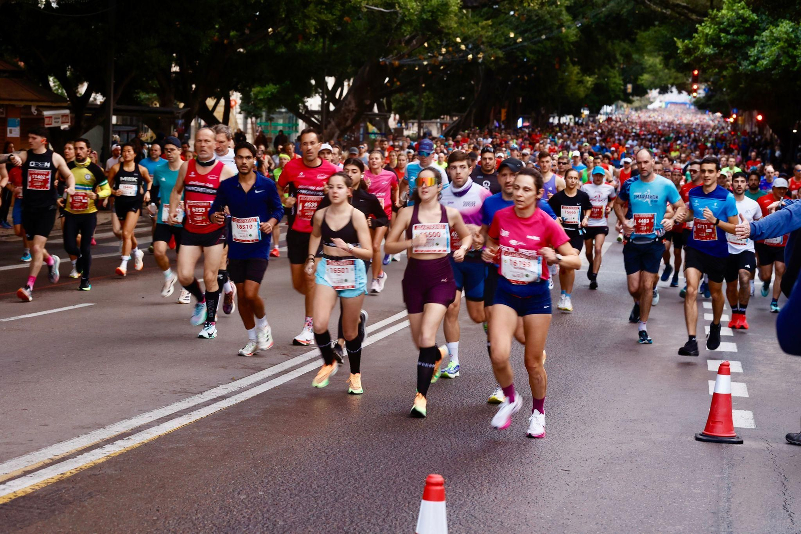 Las fotos de la Maratón de Málaga 2025