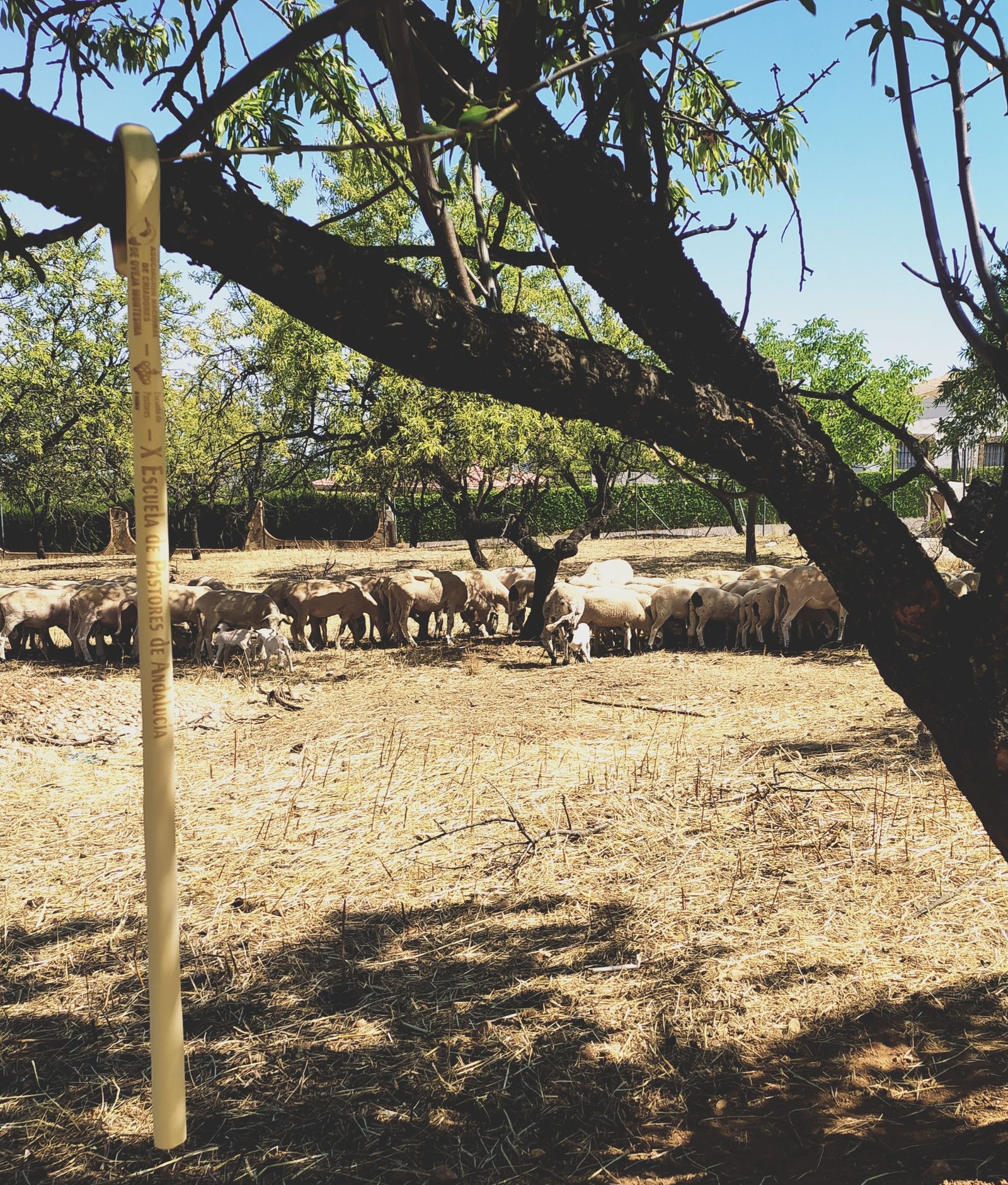 Imagen de archivo de una explotación ganadera.