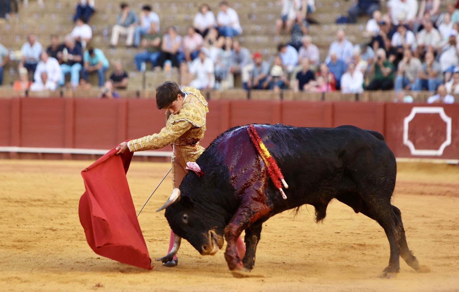 Novillada El Melli, Aarón Palacios y Manuel Jesús  Carrión