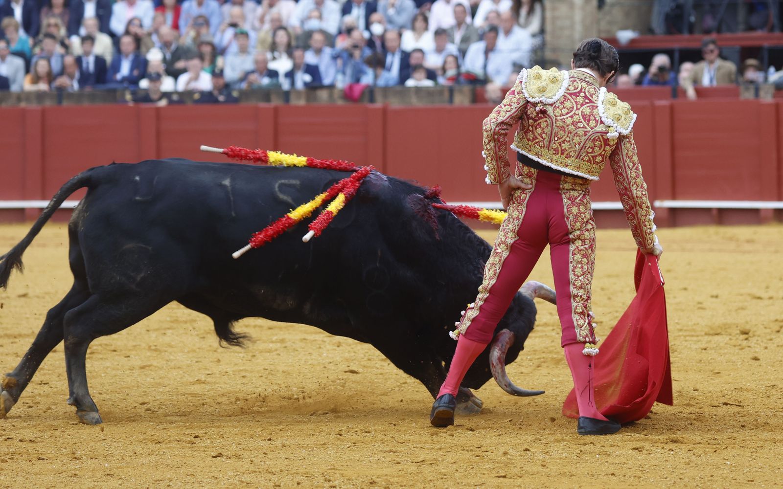 La décima de abono en imágenes